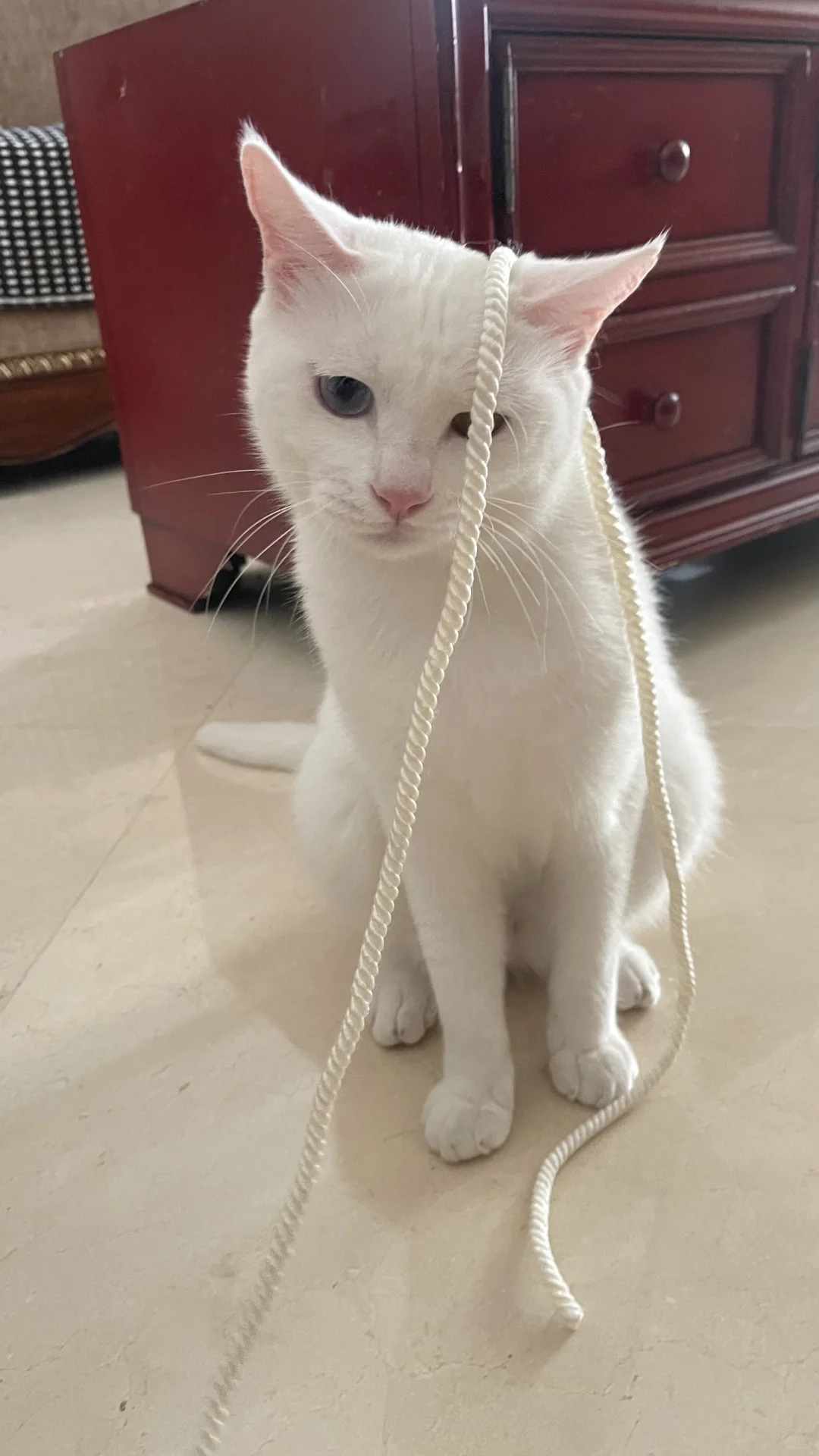 Ǯǵ˰ 棡ģ