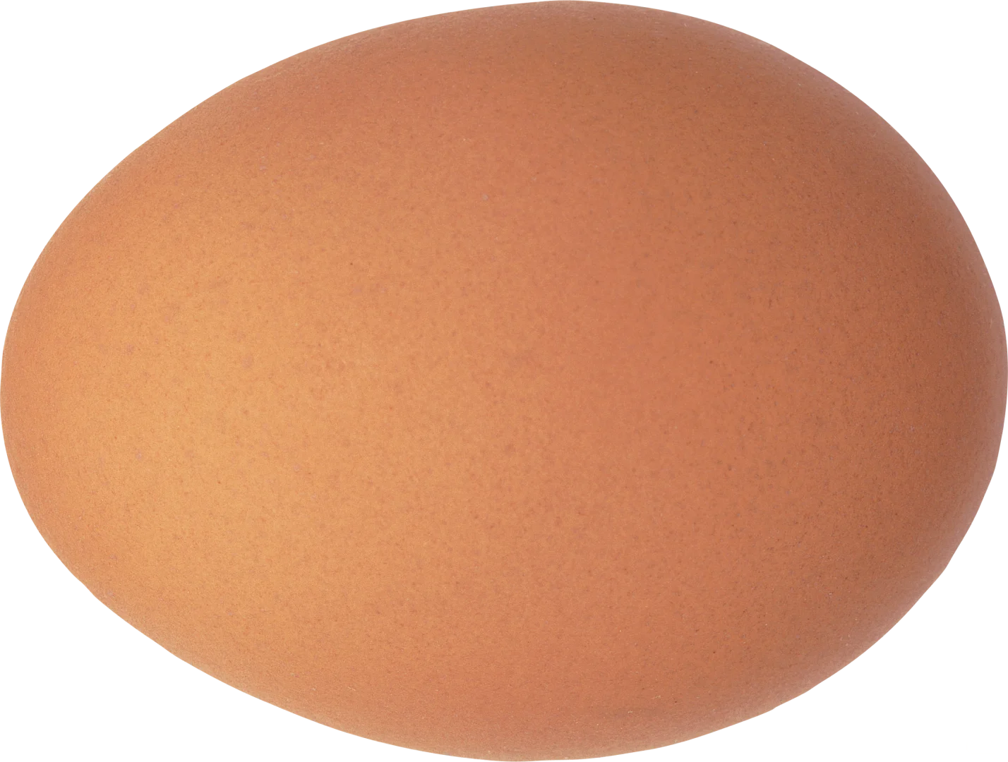һżļ۸