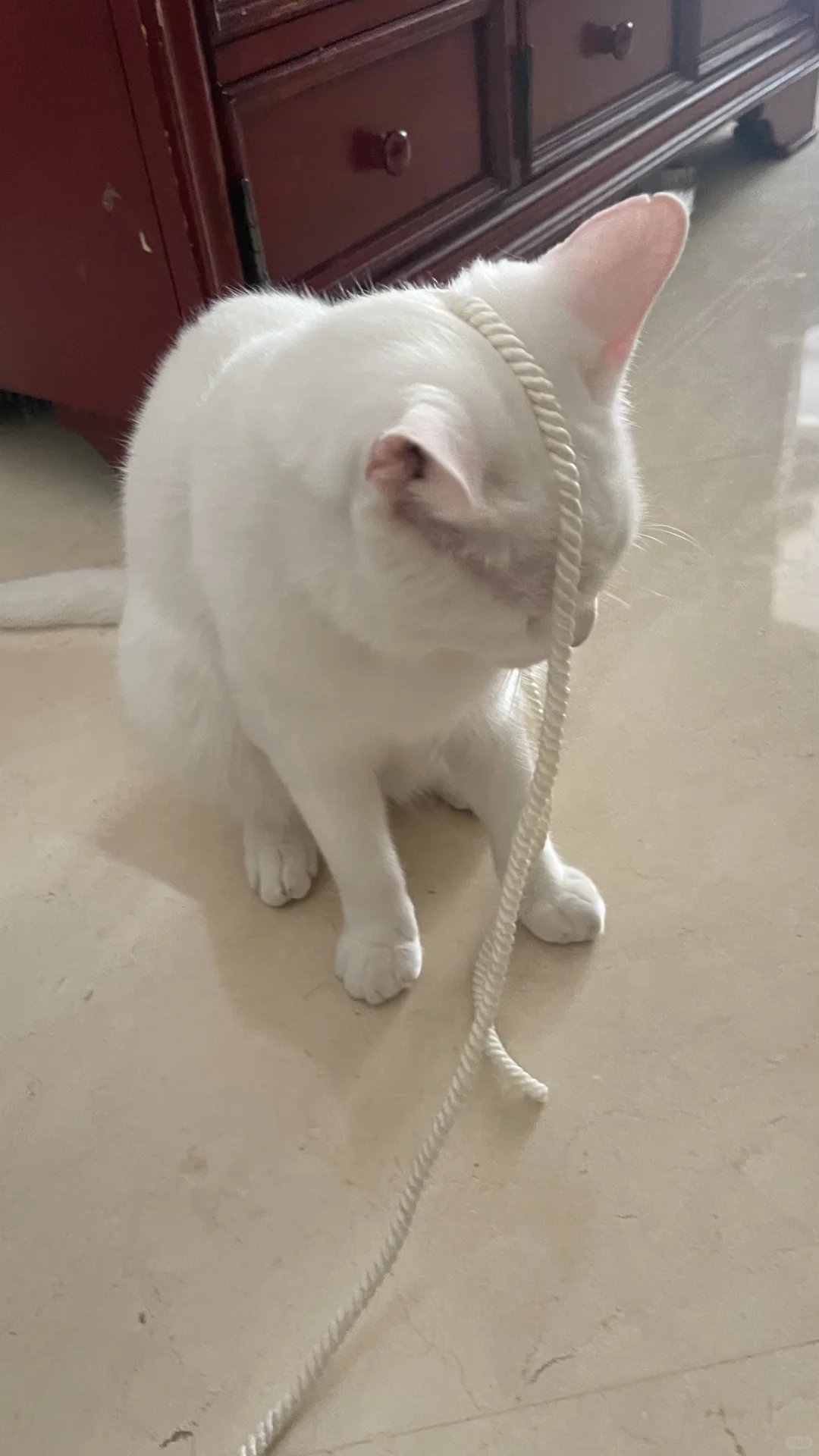 Ǯǵ˰ 棡ģ