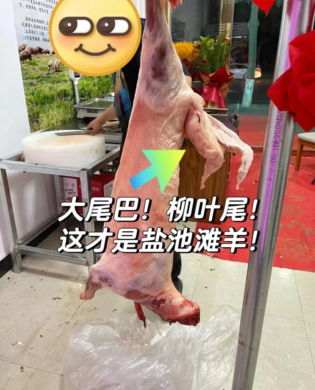 γ̲Ҳ쿴