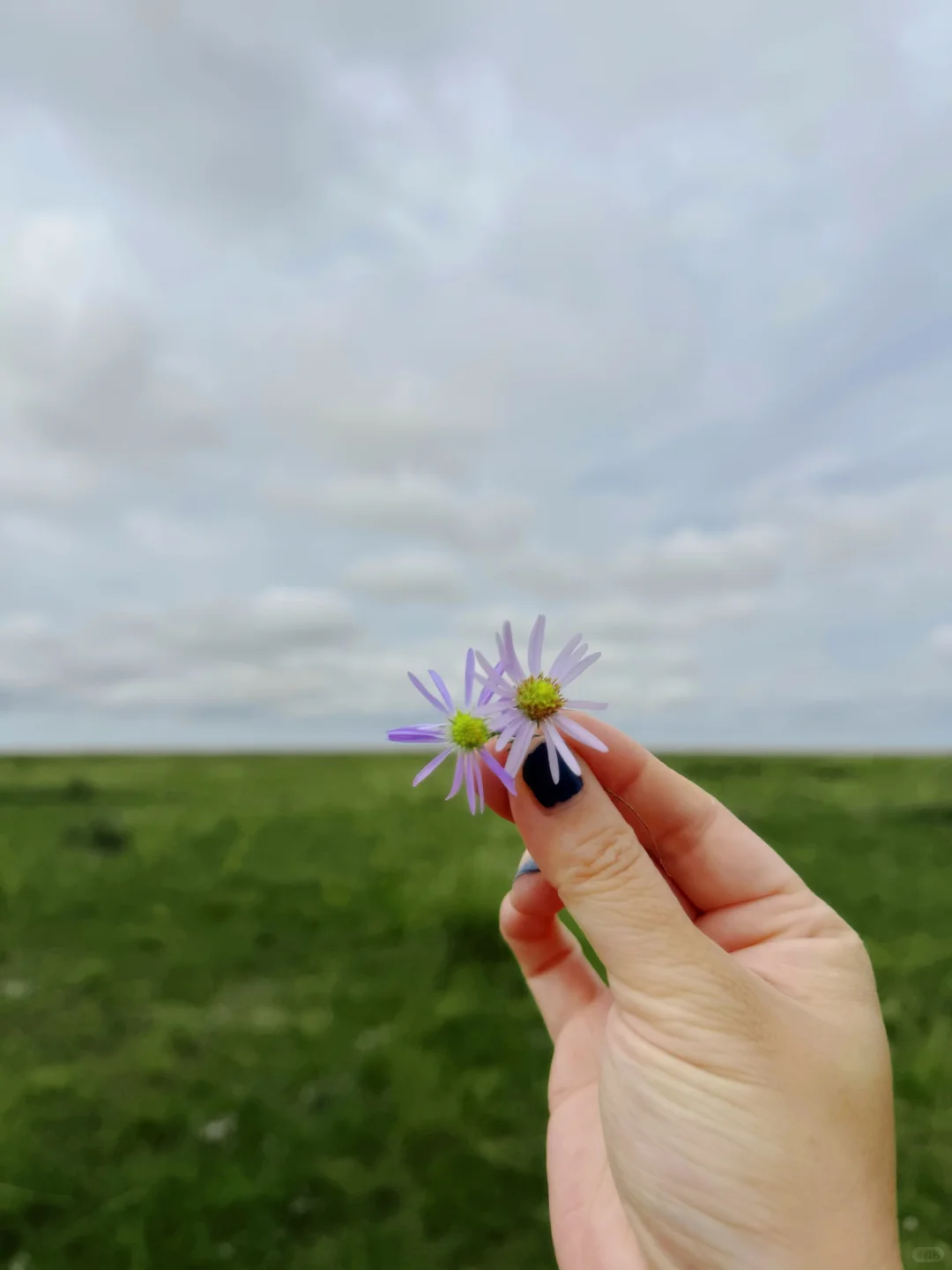 ֹˣ