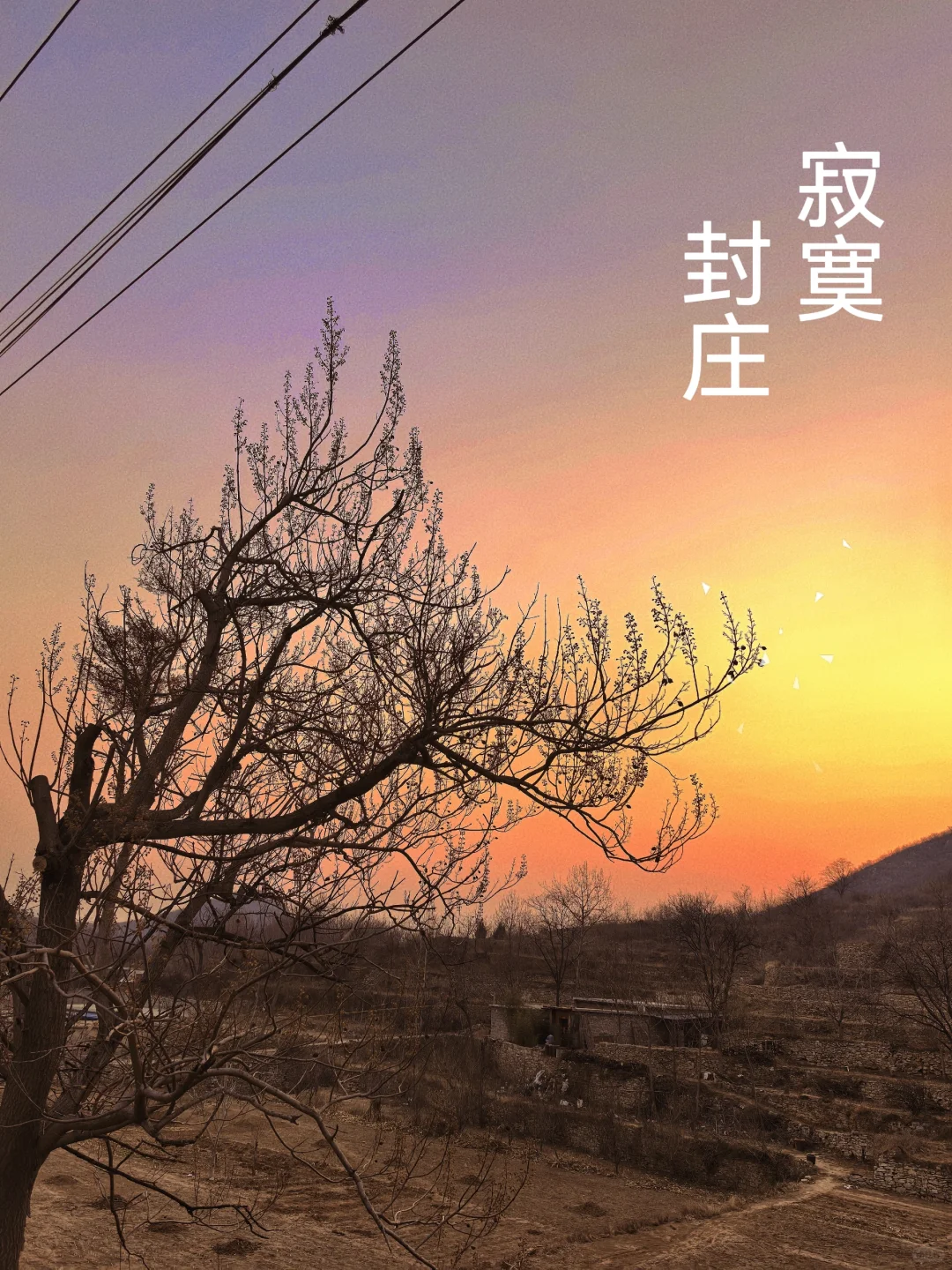 ʯׯ紺ɽ:ʶ