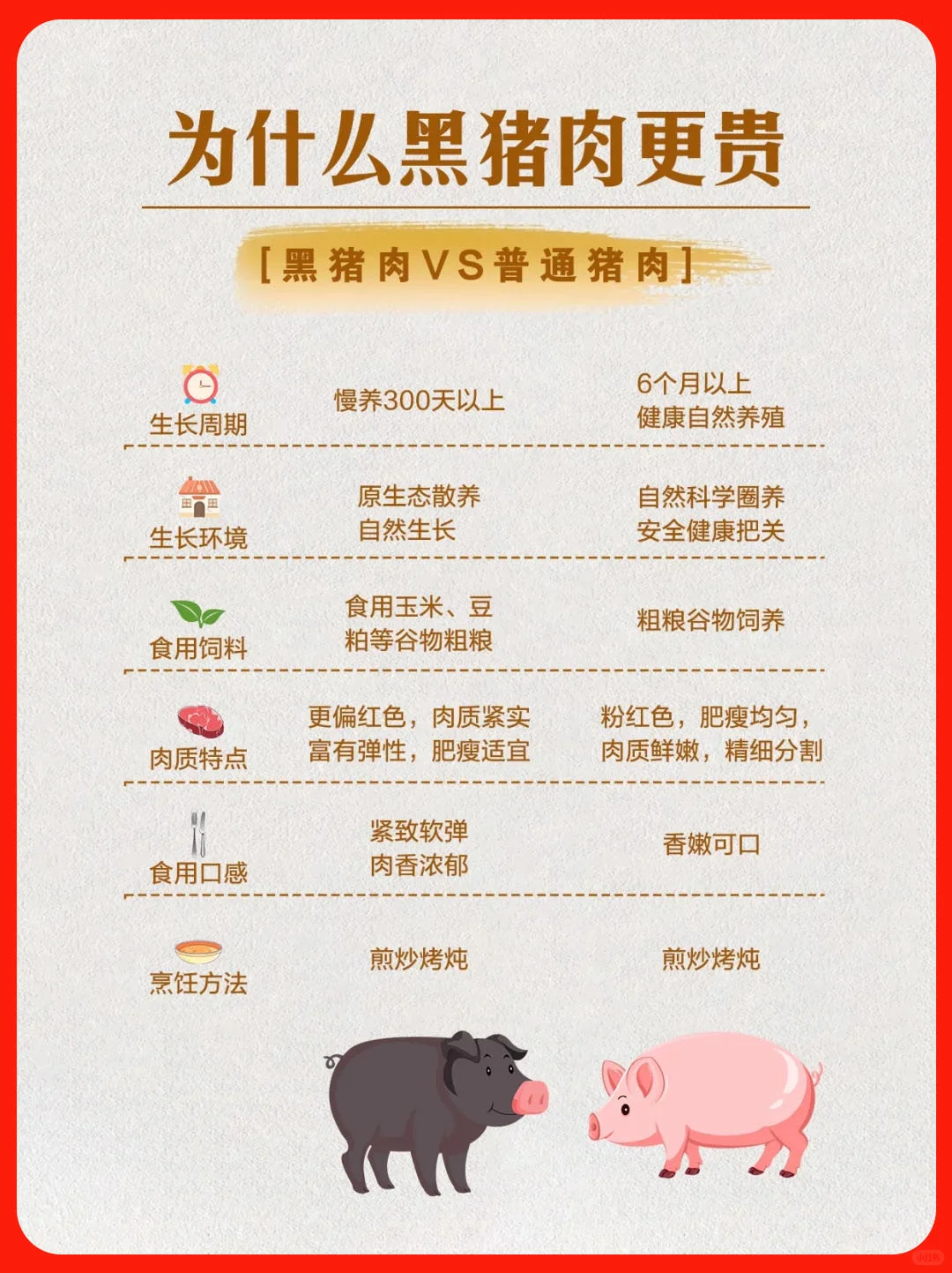黑猪VS白猪?|为什么黑猪肉更贵?