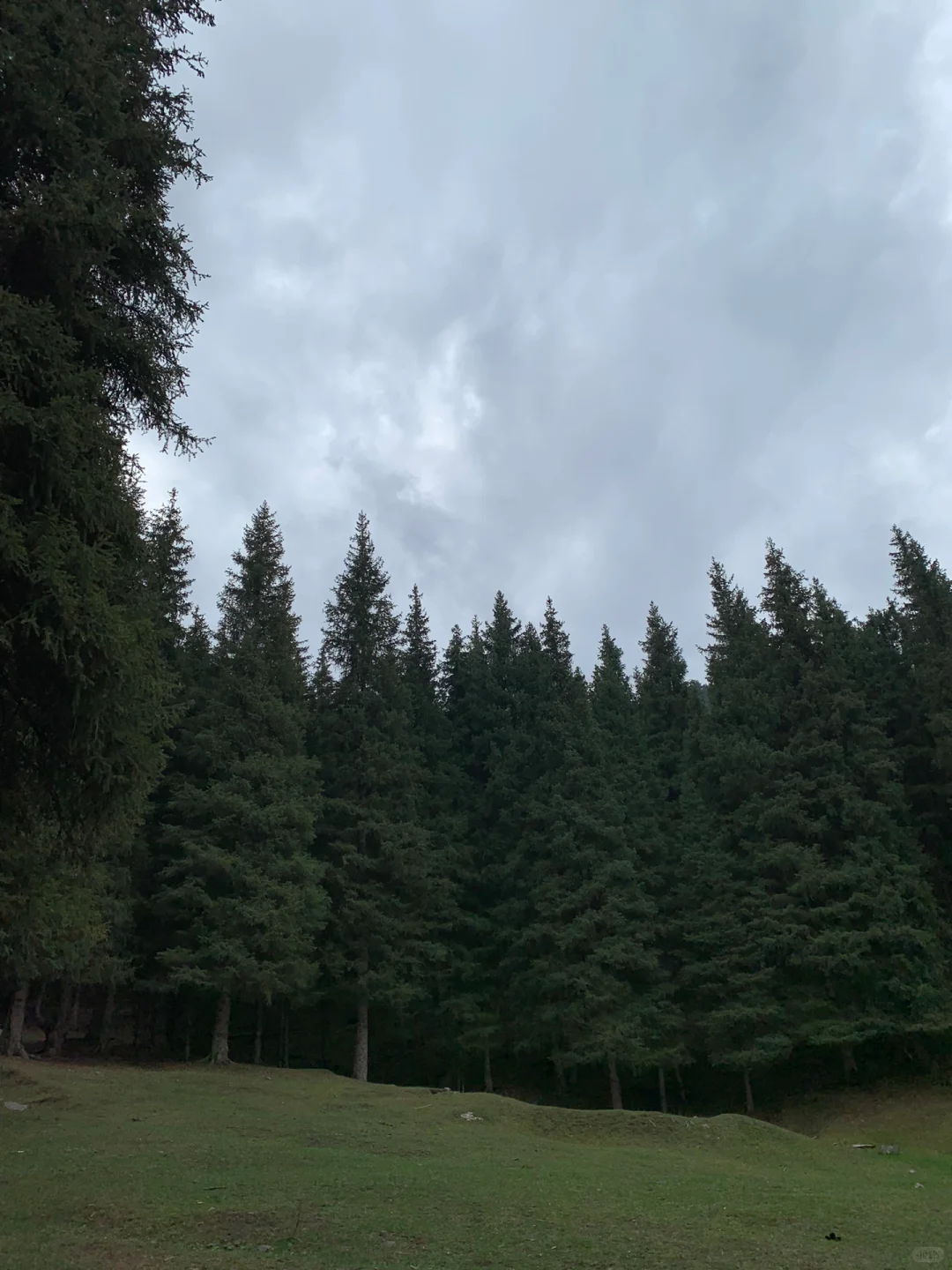 ͽ-Ȧ 
