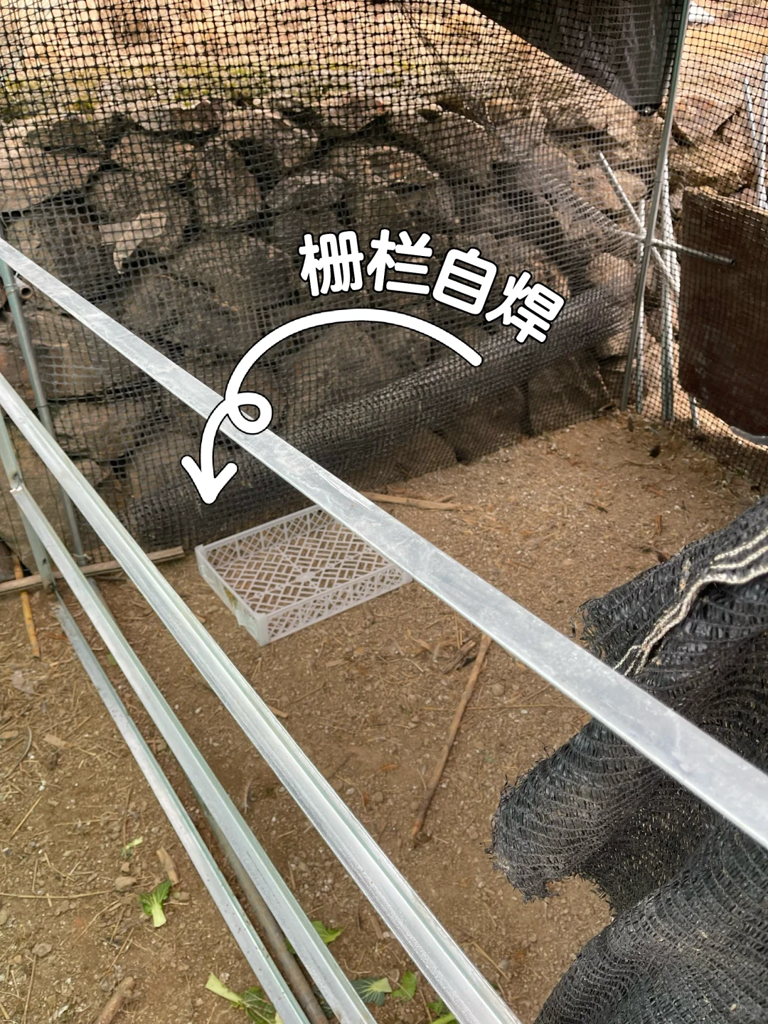 ִ