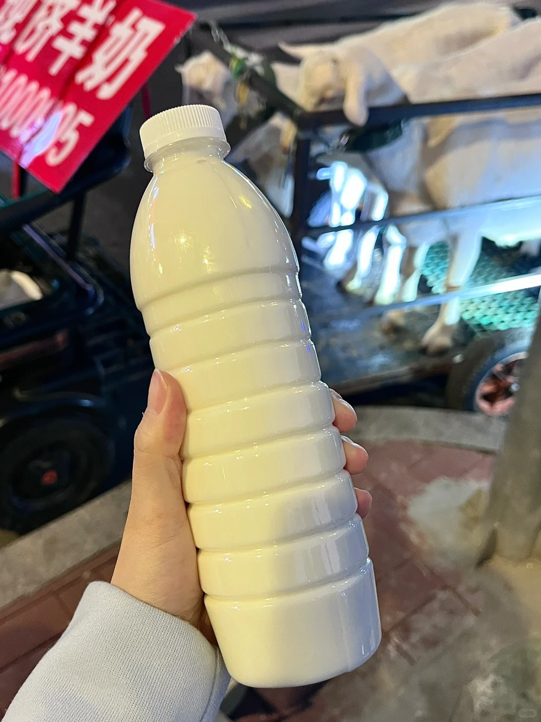  СȻϽˣ