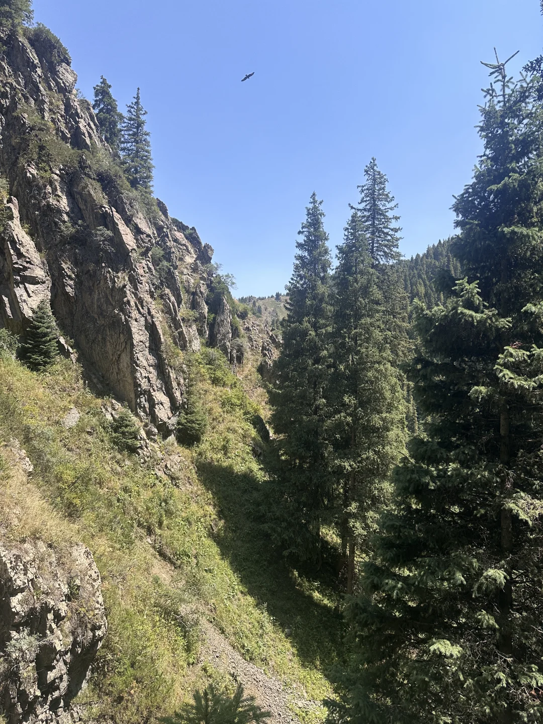 Ȧ