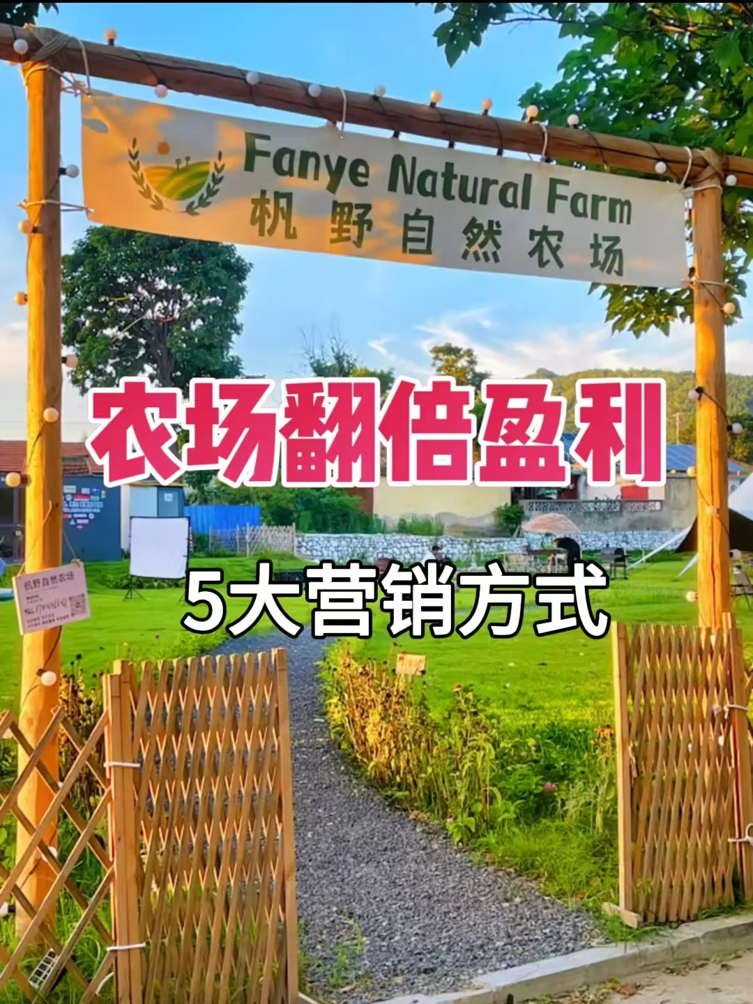 5Ӫʽũӯ?