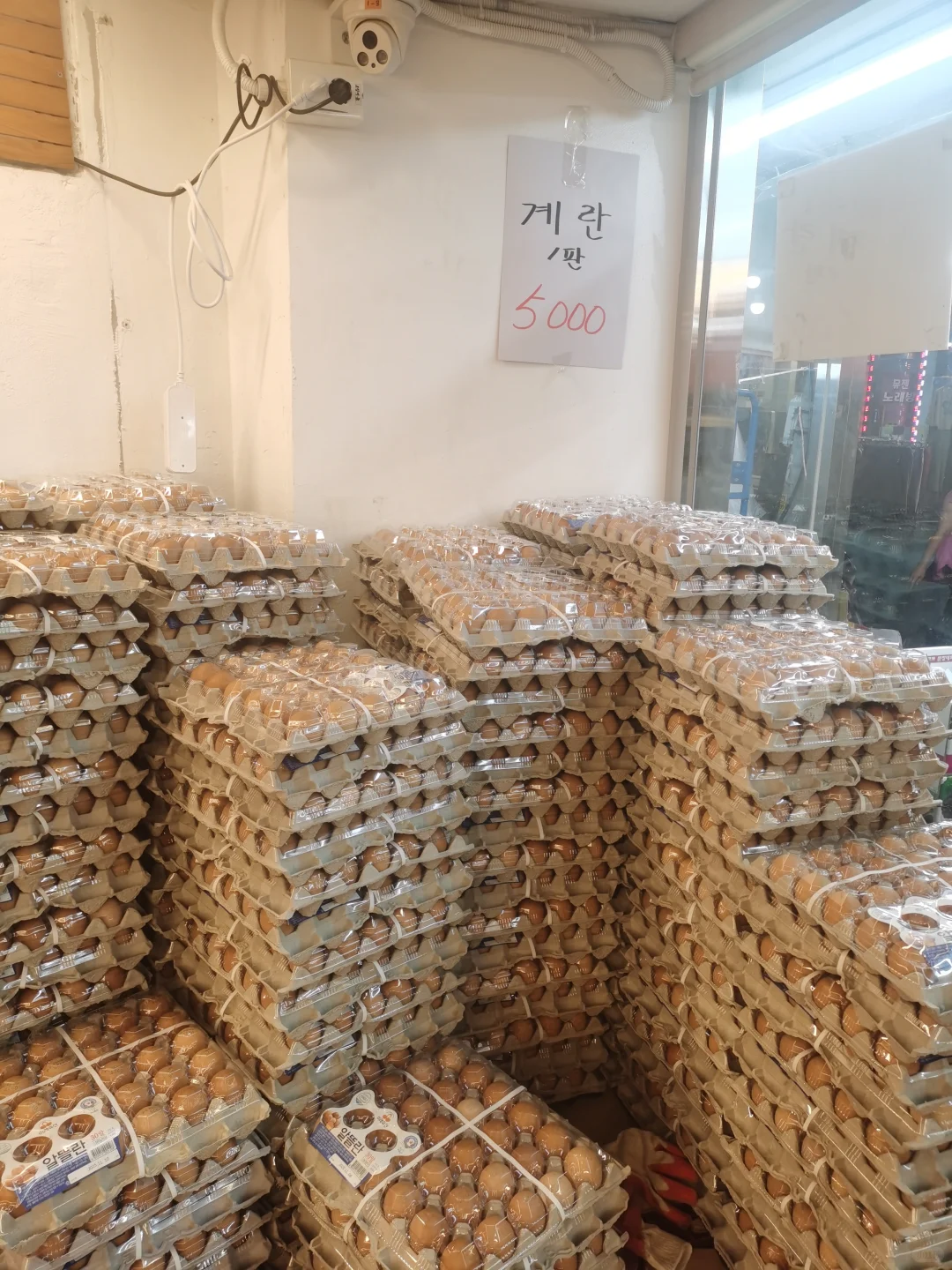 ??5000ļ???