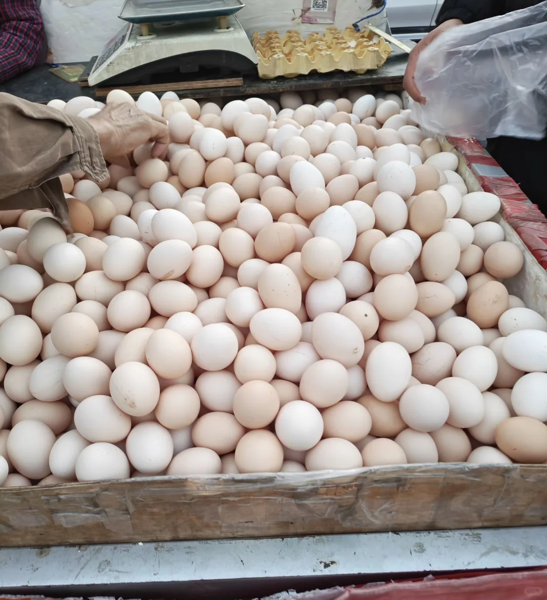 ڼôˣ