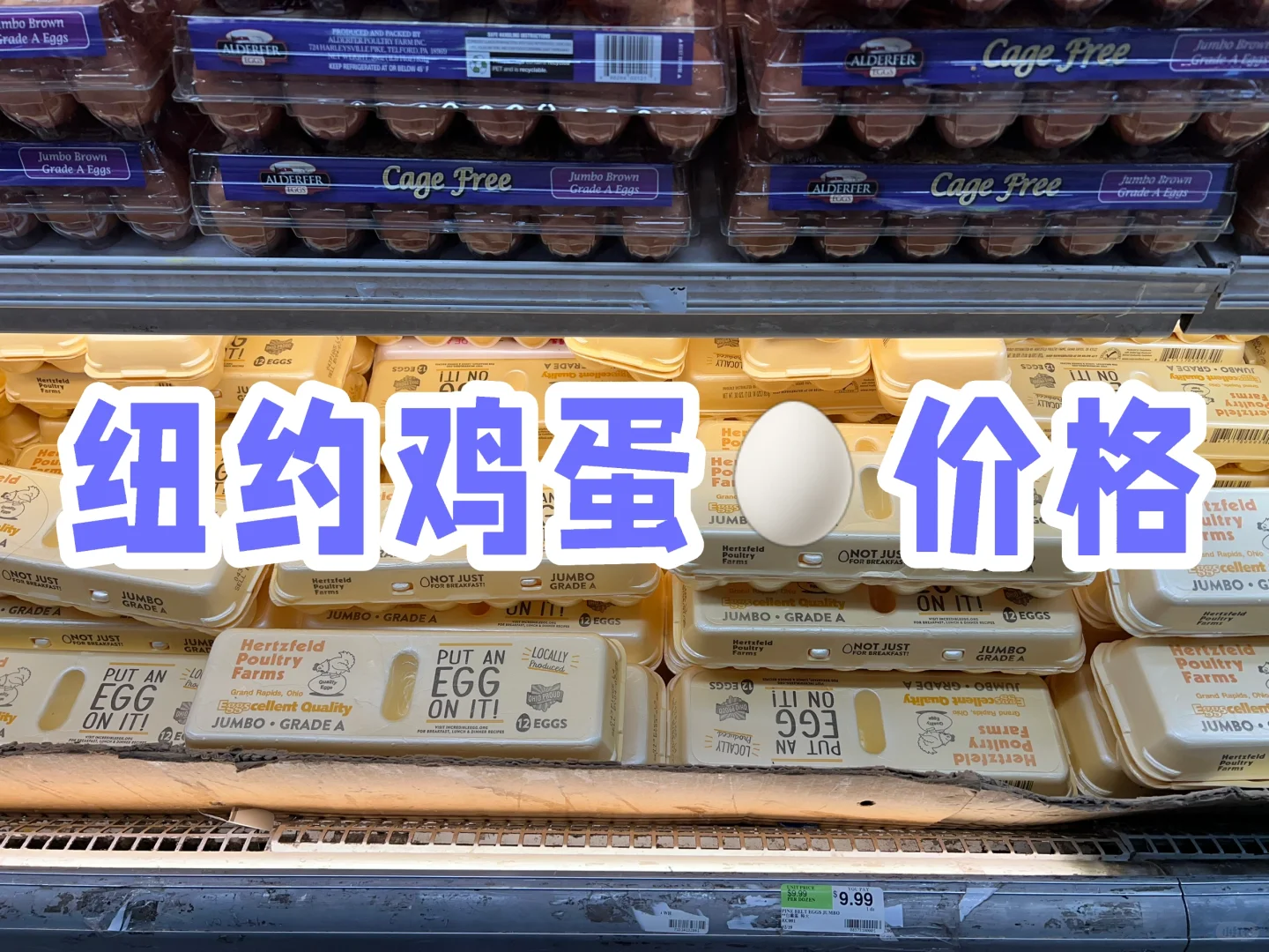 ŦԼ?۸