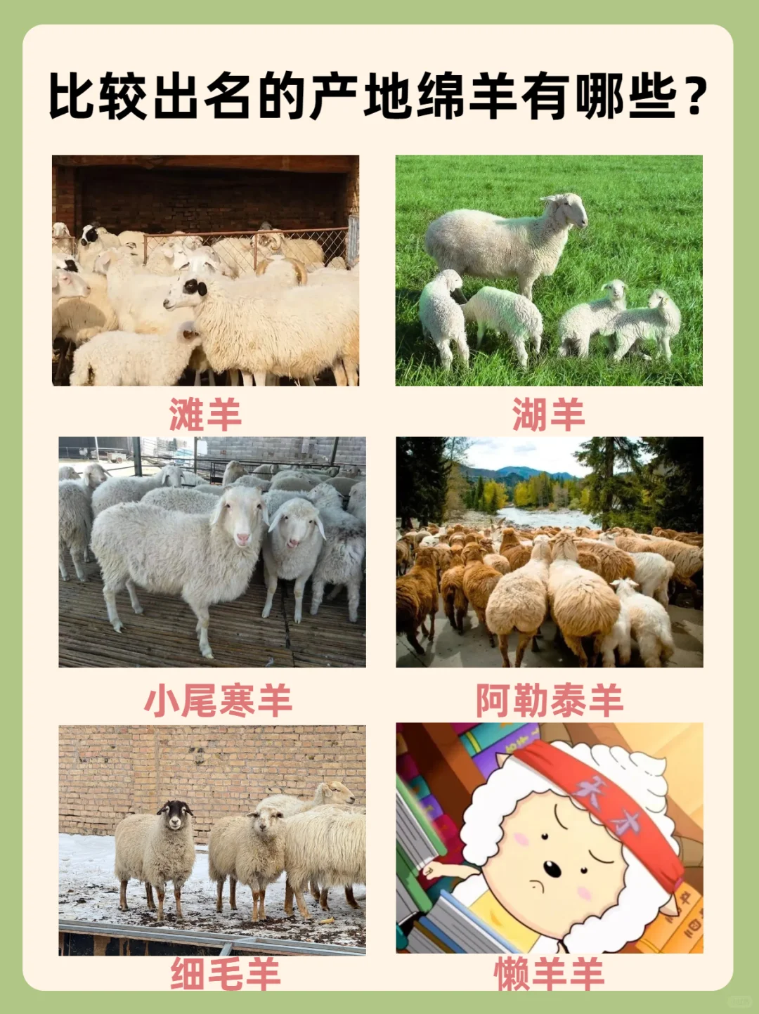 ĿǰʳõЩ