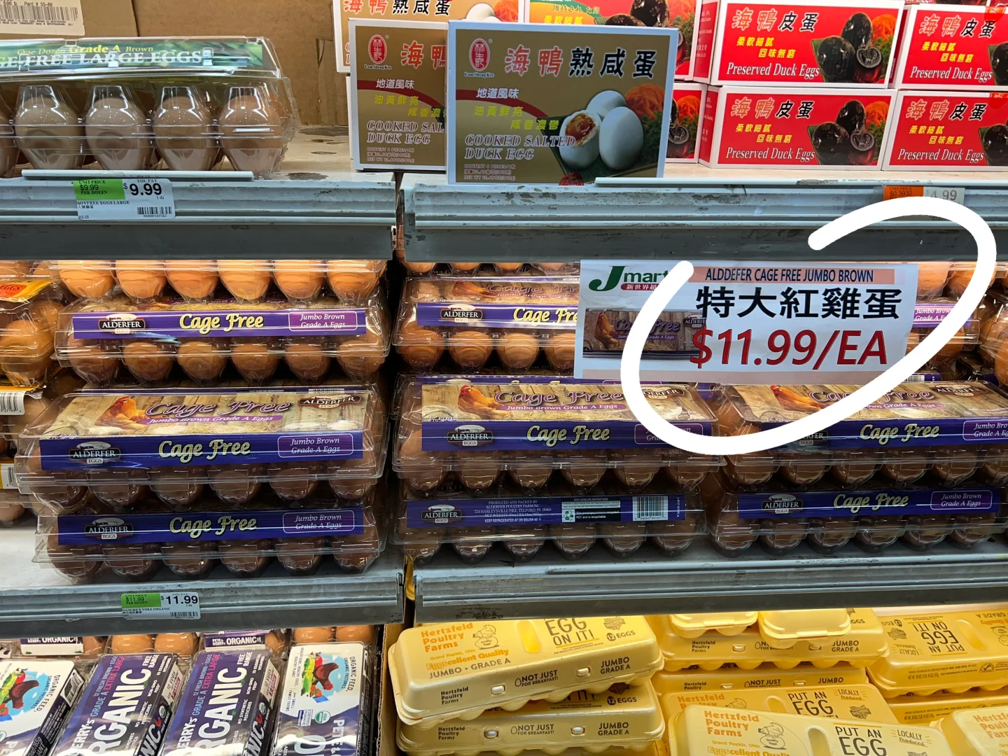 ŦԼ?۸