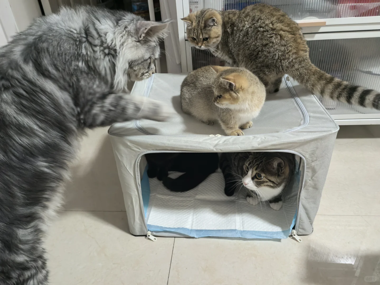 ˭˵ɳģͼһҵ