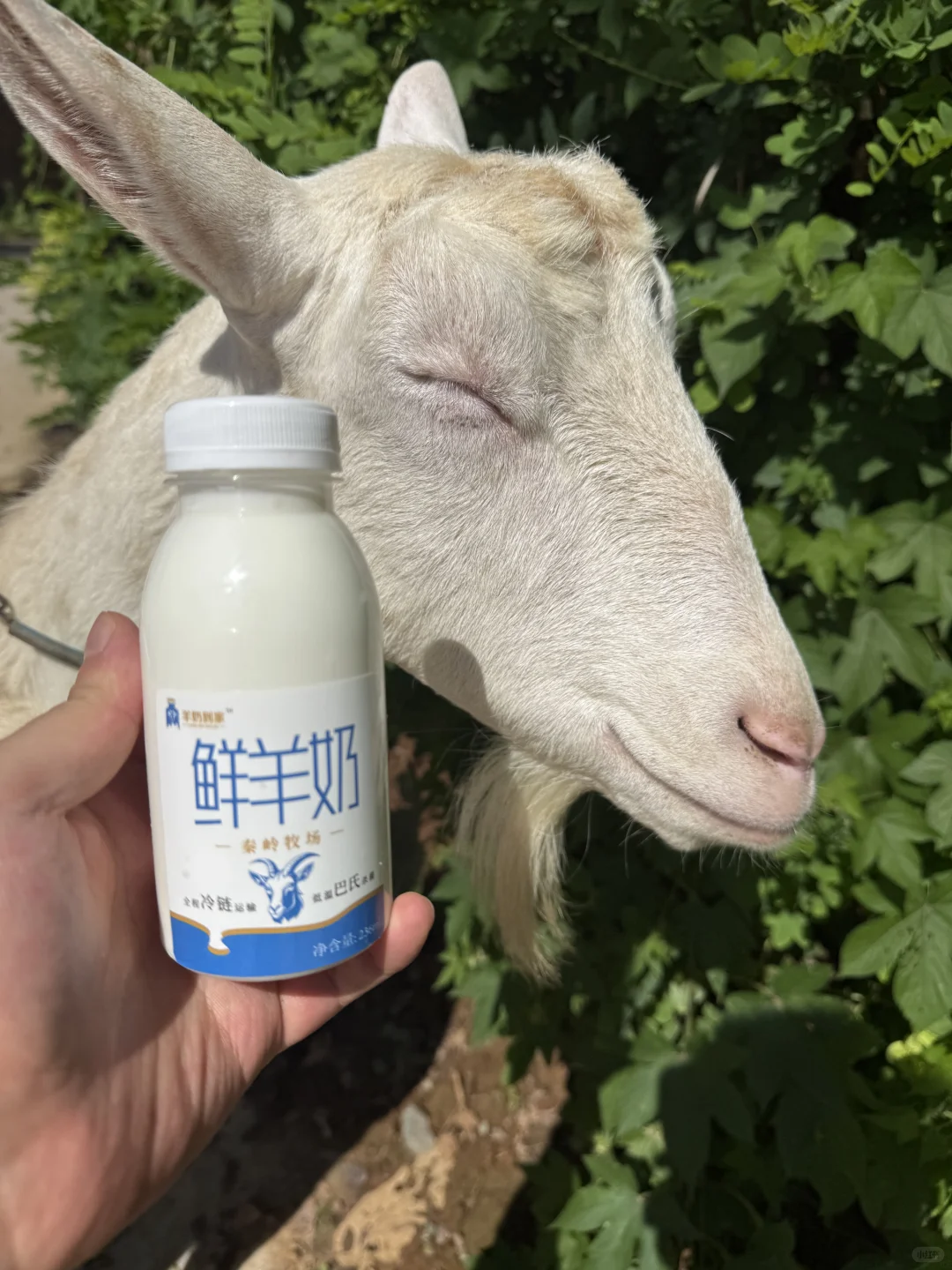 ������ĺܹ���