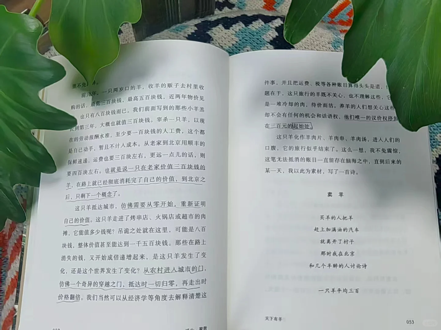 ·Զ