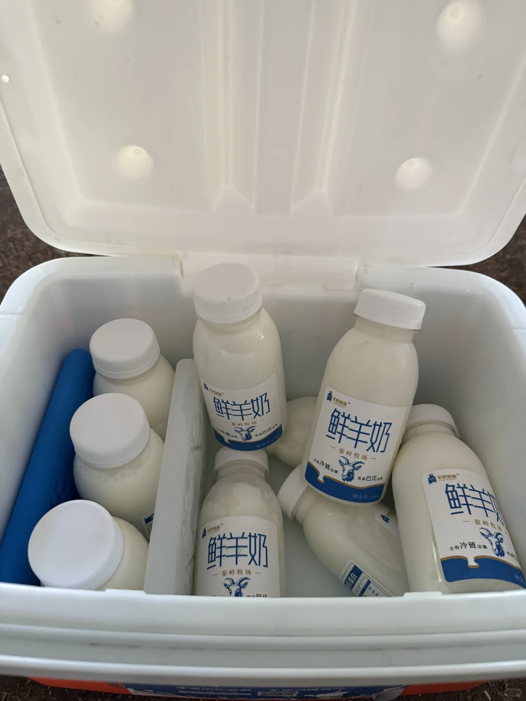 ������ĺܹ���