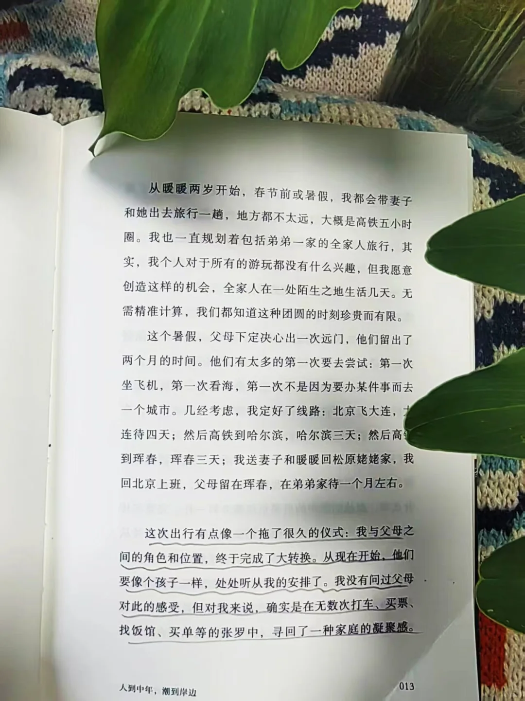 ·Զ