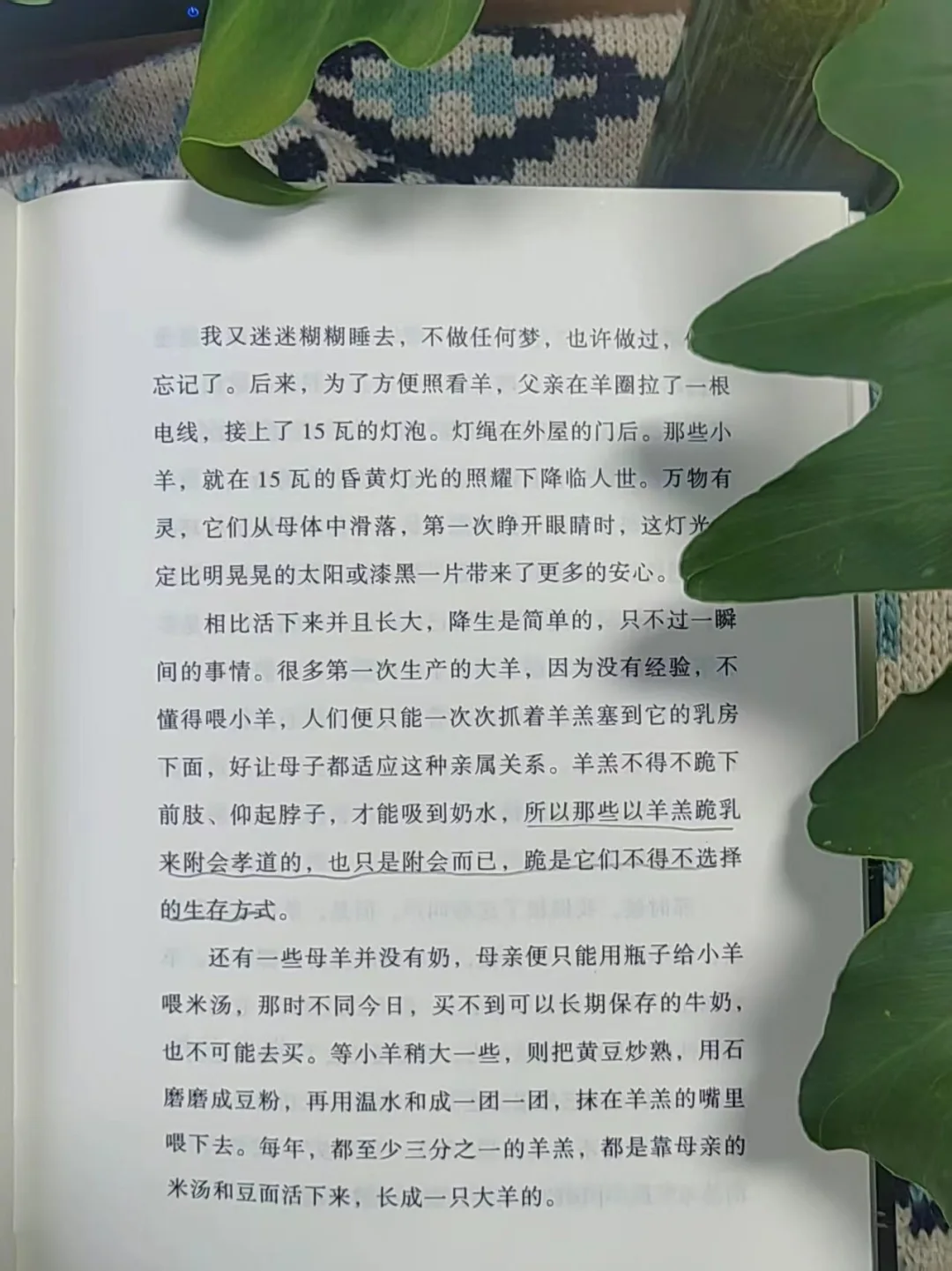 ·Զ