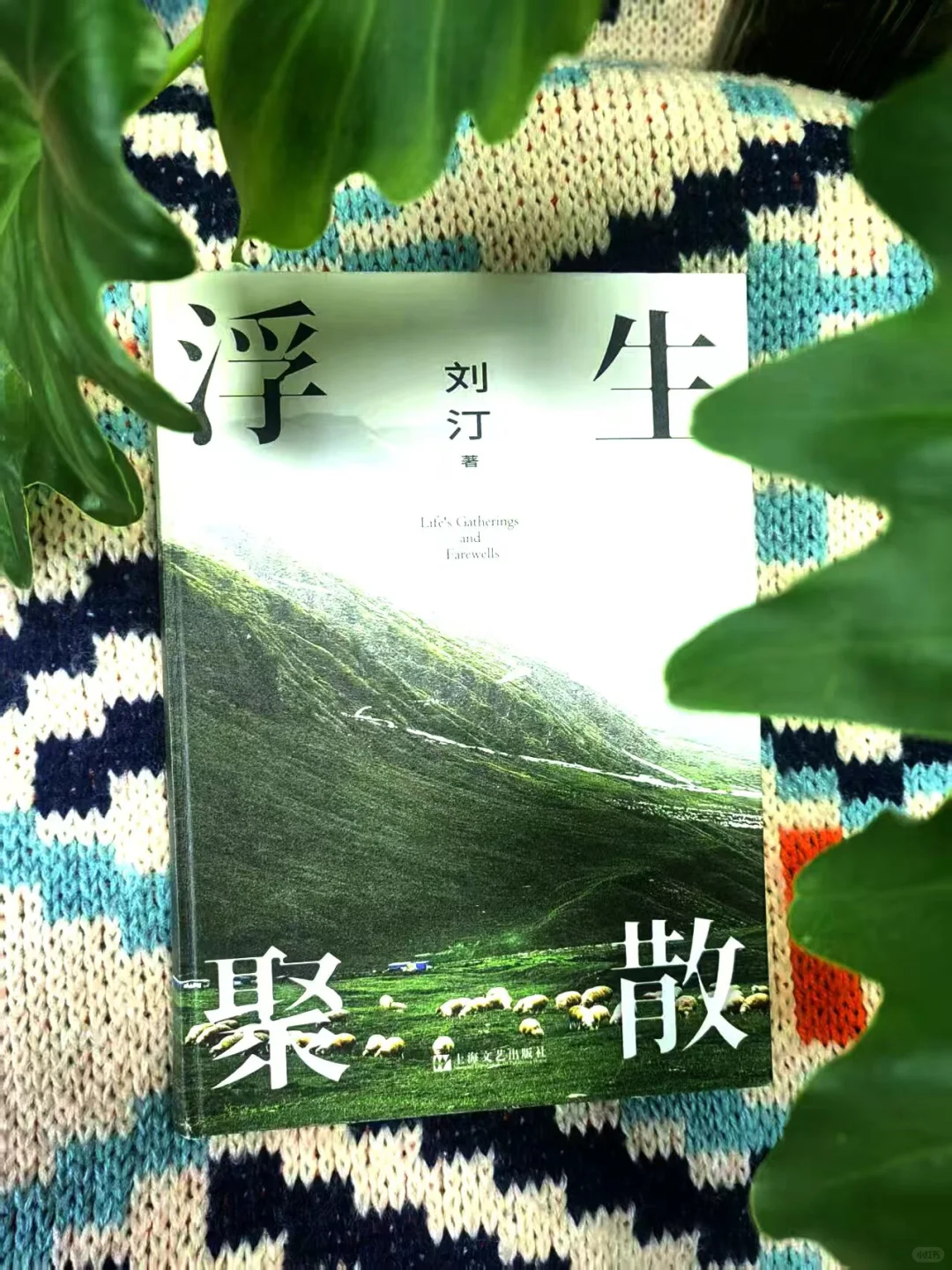 ·Զ