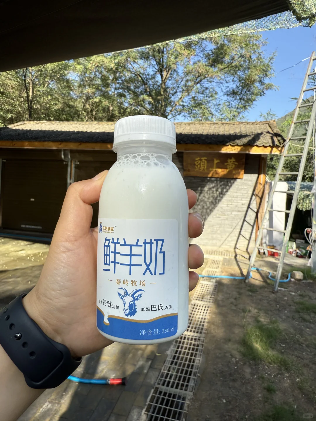 ������ĺܹ���