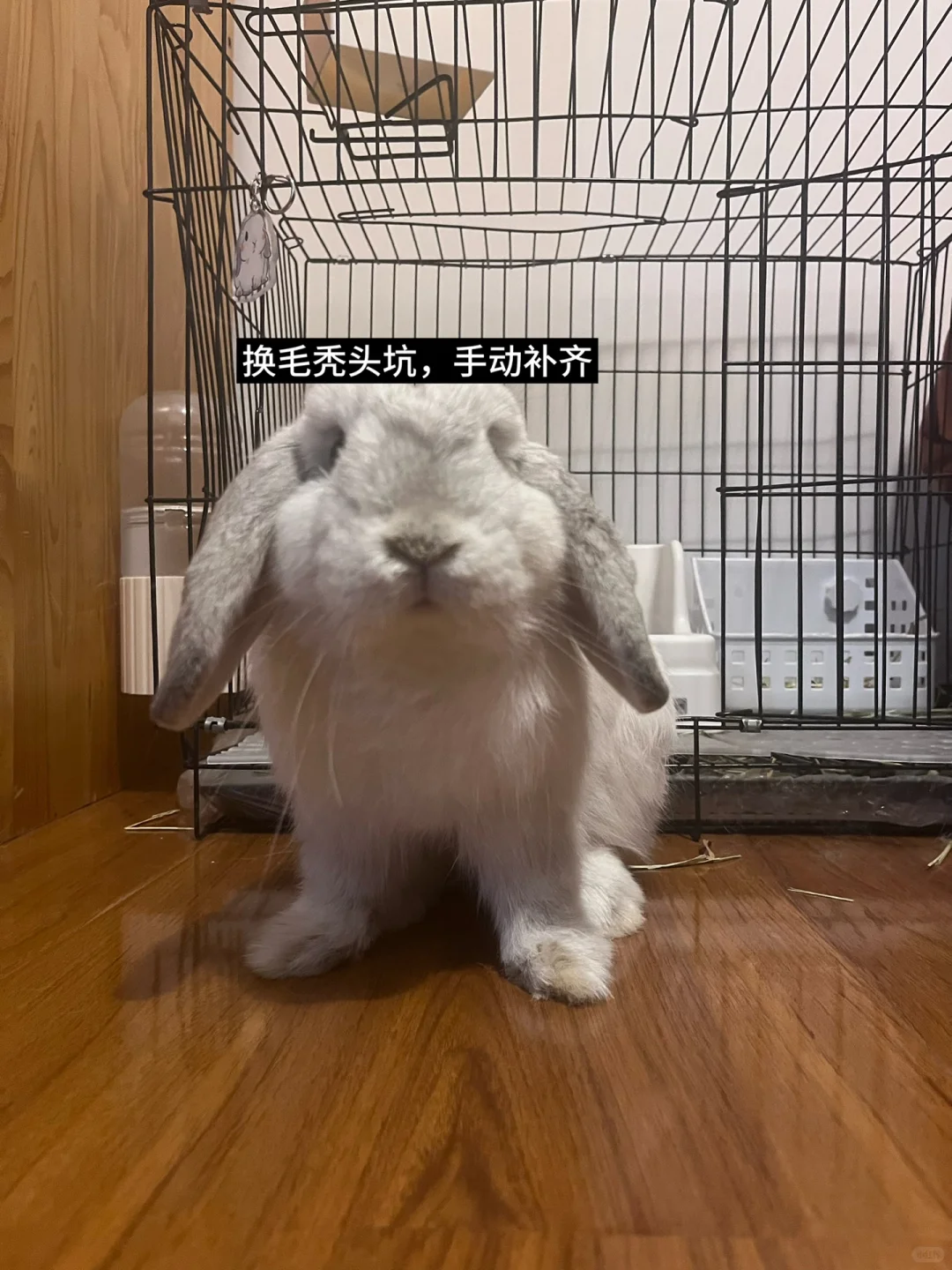 ƽһ¶Ǯ