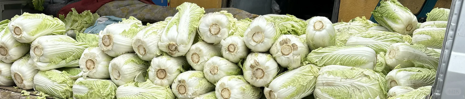 ӱСسǲ˼