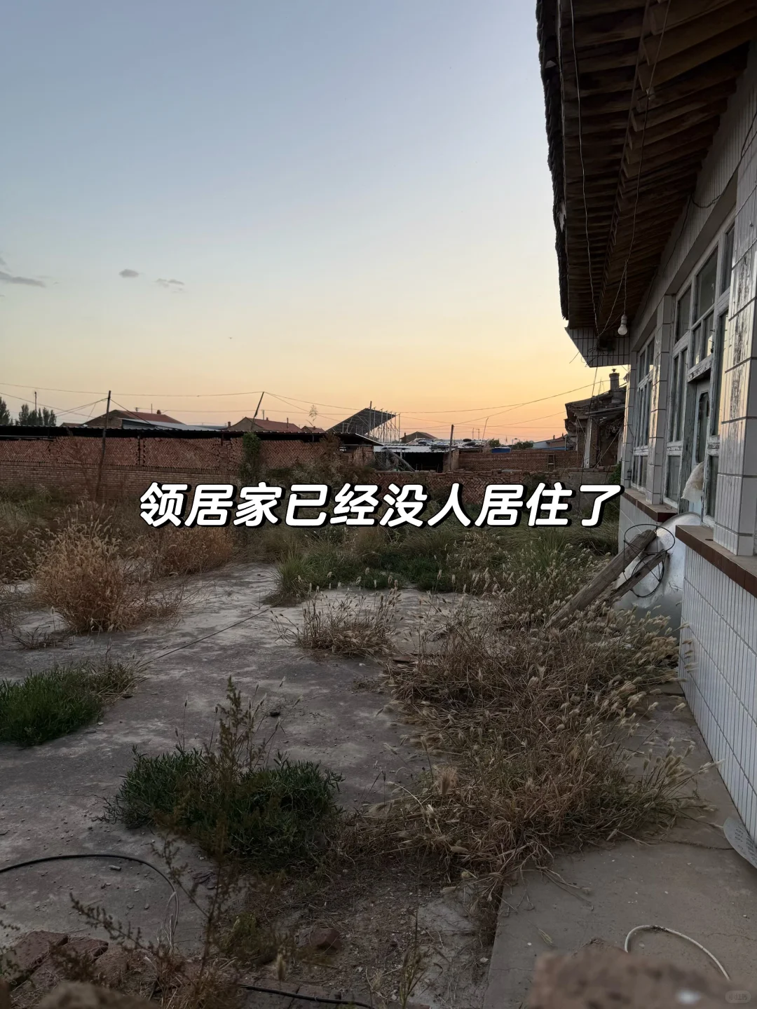 Ҳٱȸ ҲٱѼ̨