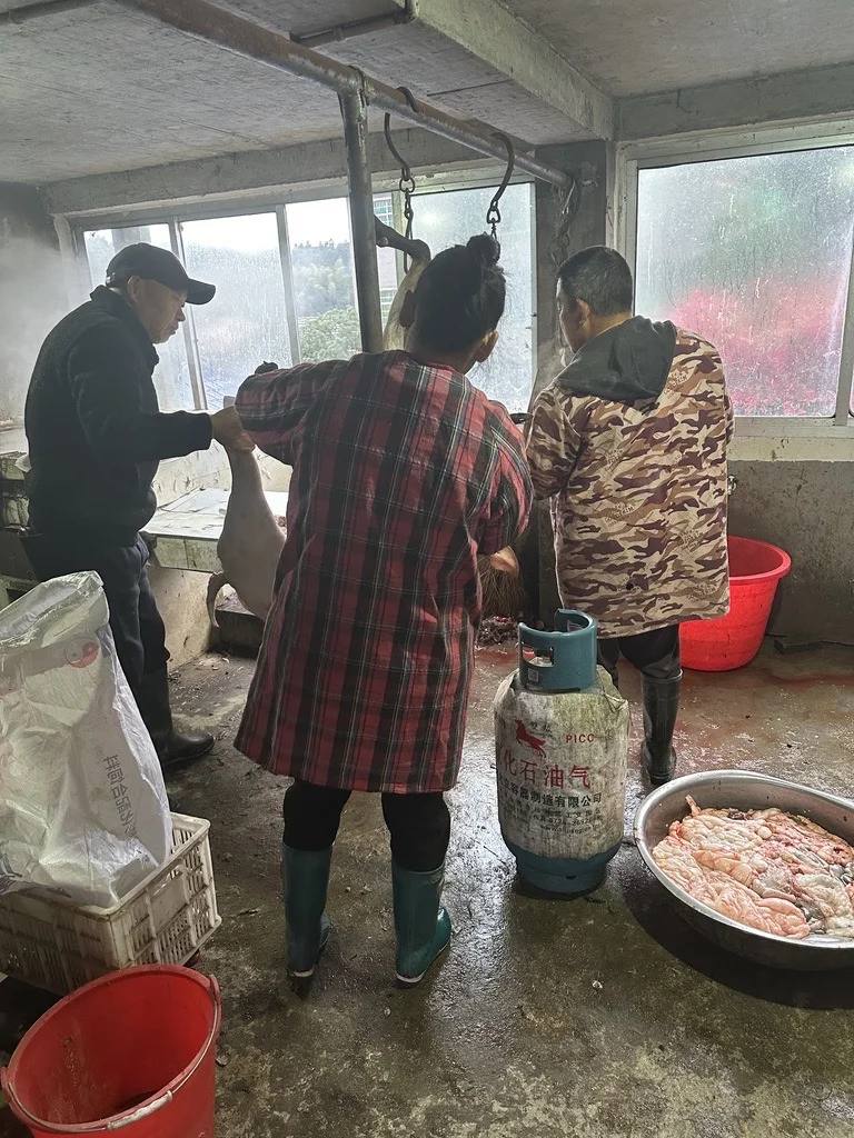 别愁!黑山羊难卖的问题,这样解决最省事