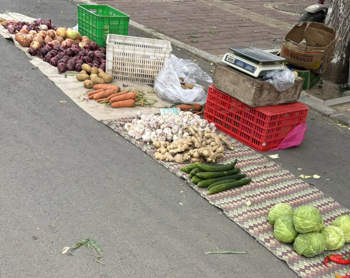 ӱСسǲ˼