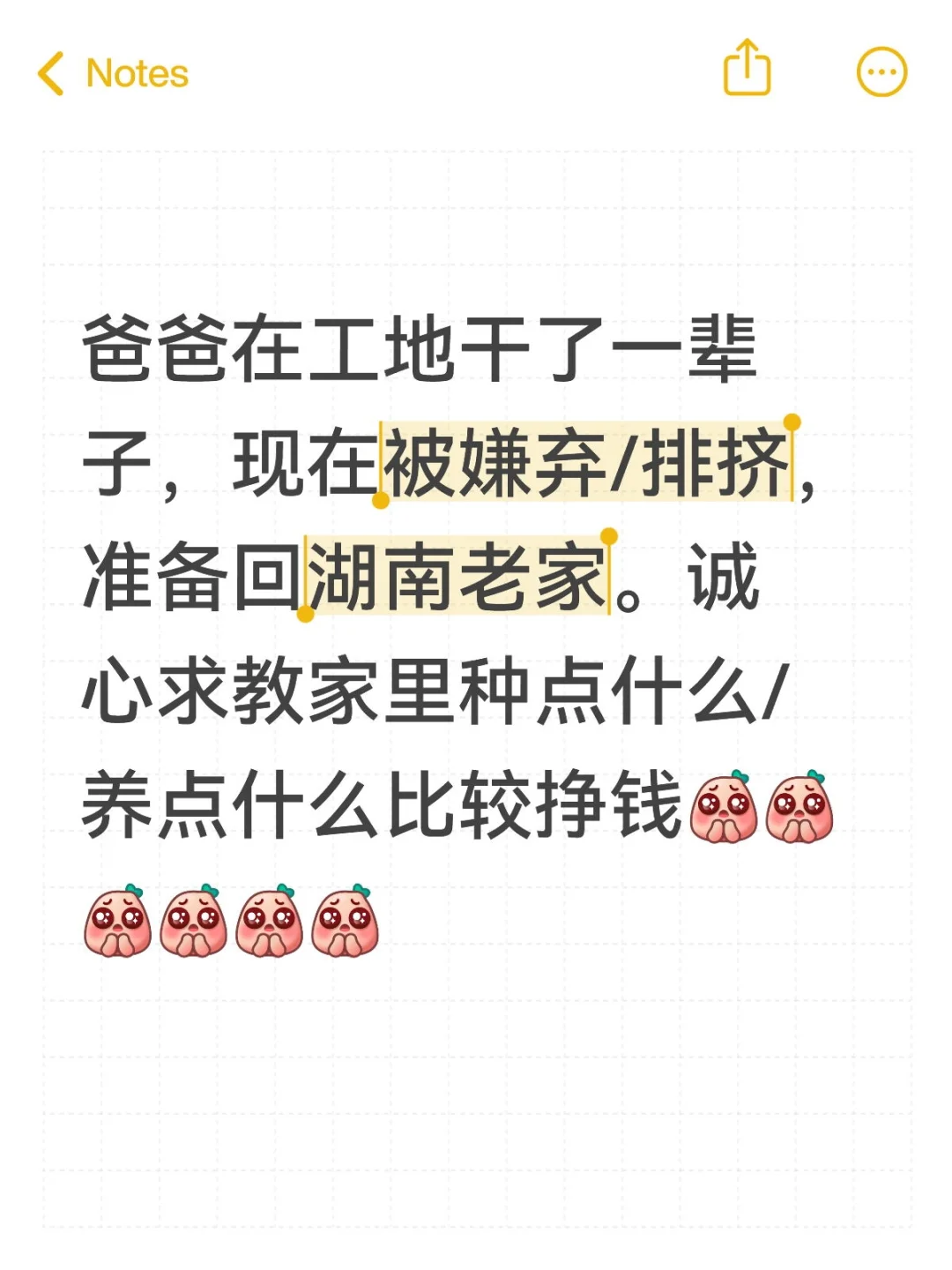 ũ壬ôǮ