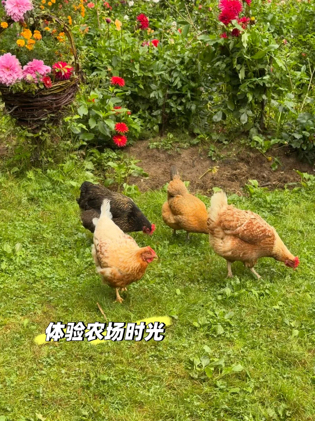 ¸绪ܱ-֮ժѣõ㣩?Ｆ