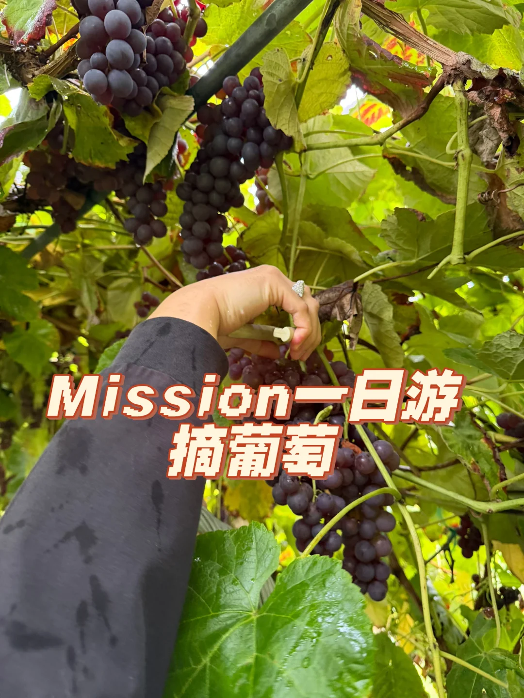 ¸绪ܱ-֮ժѣõ㣩?Ｆ