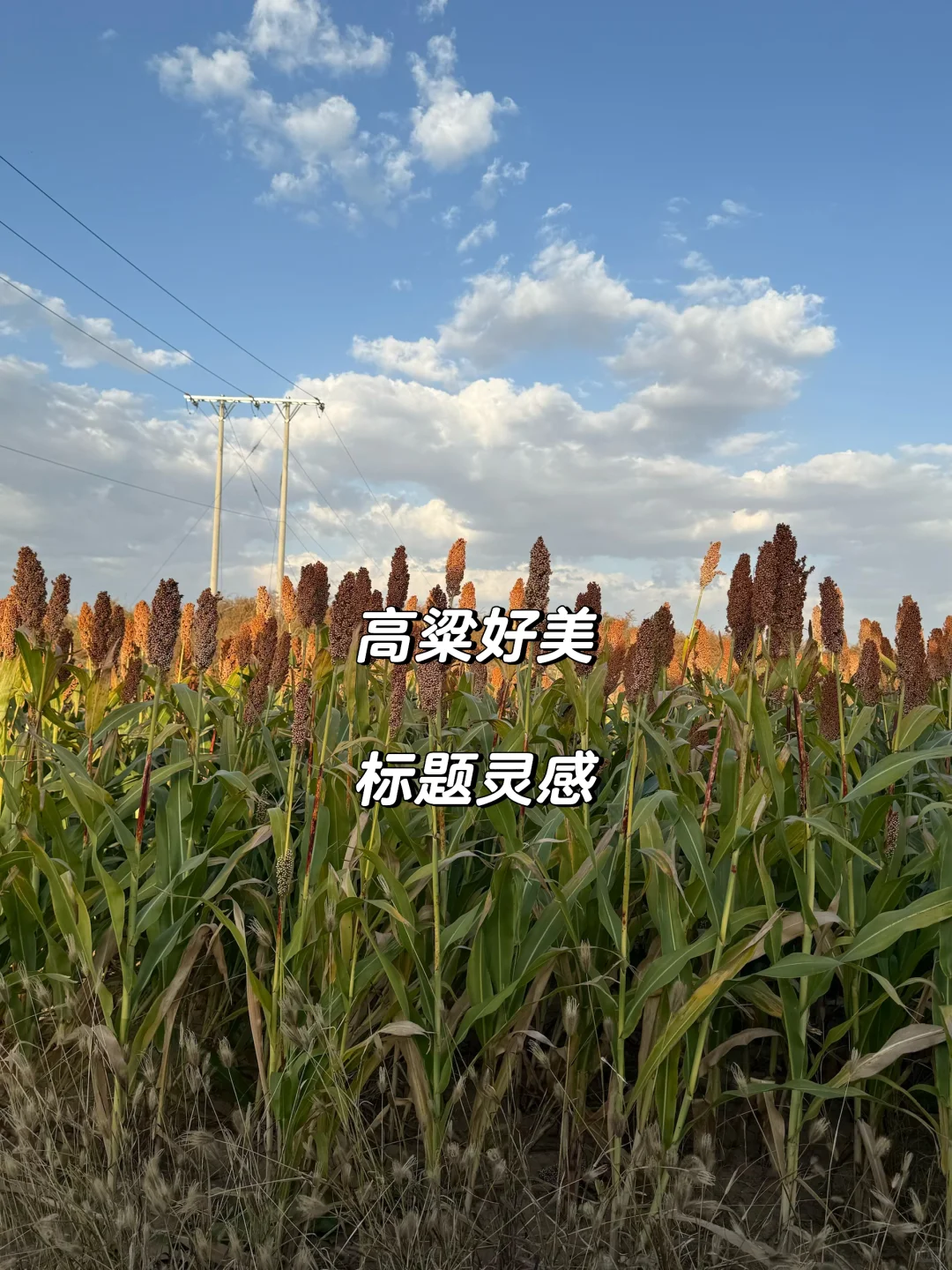 Ҳٱȸ ҲٱѼ̨