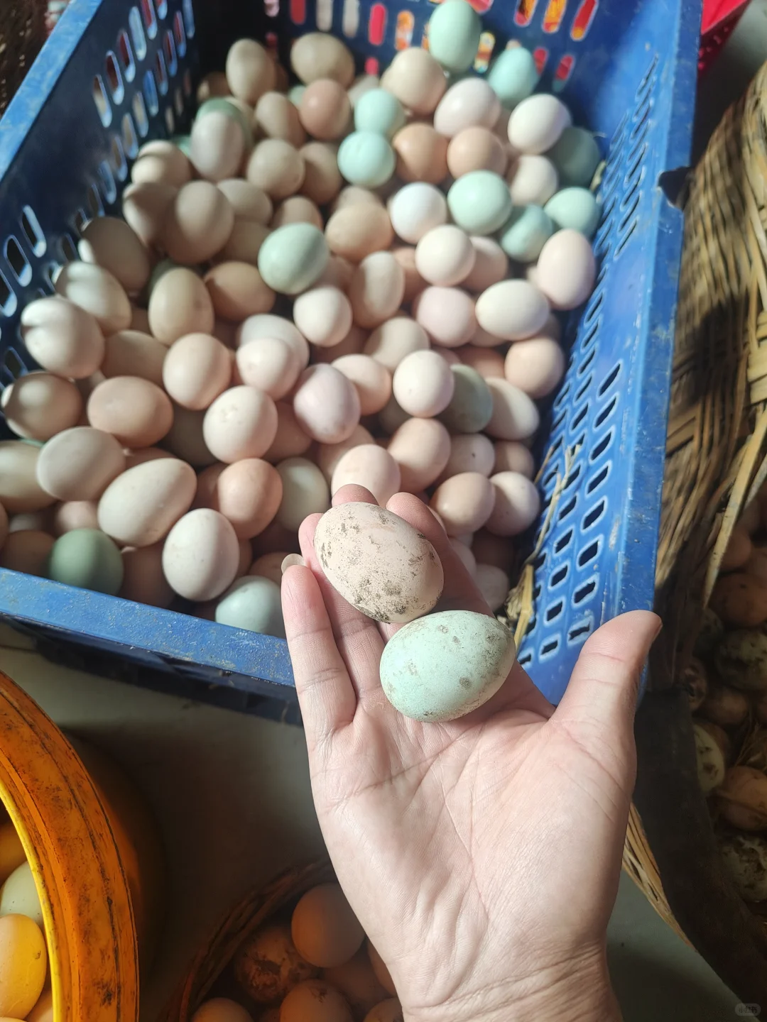 Լ9ëܵܶ飡