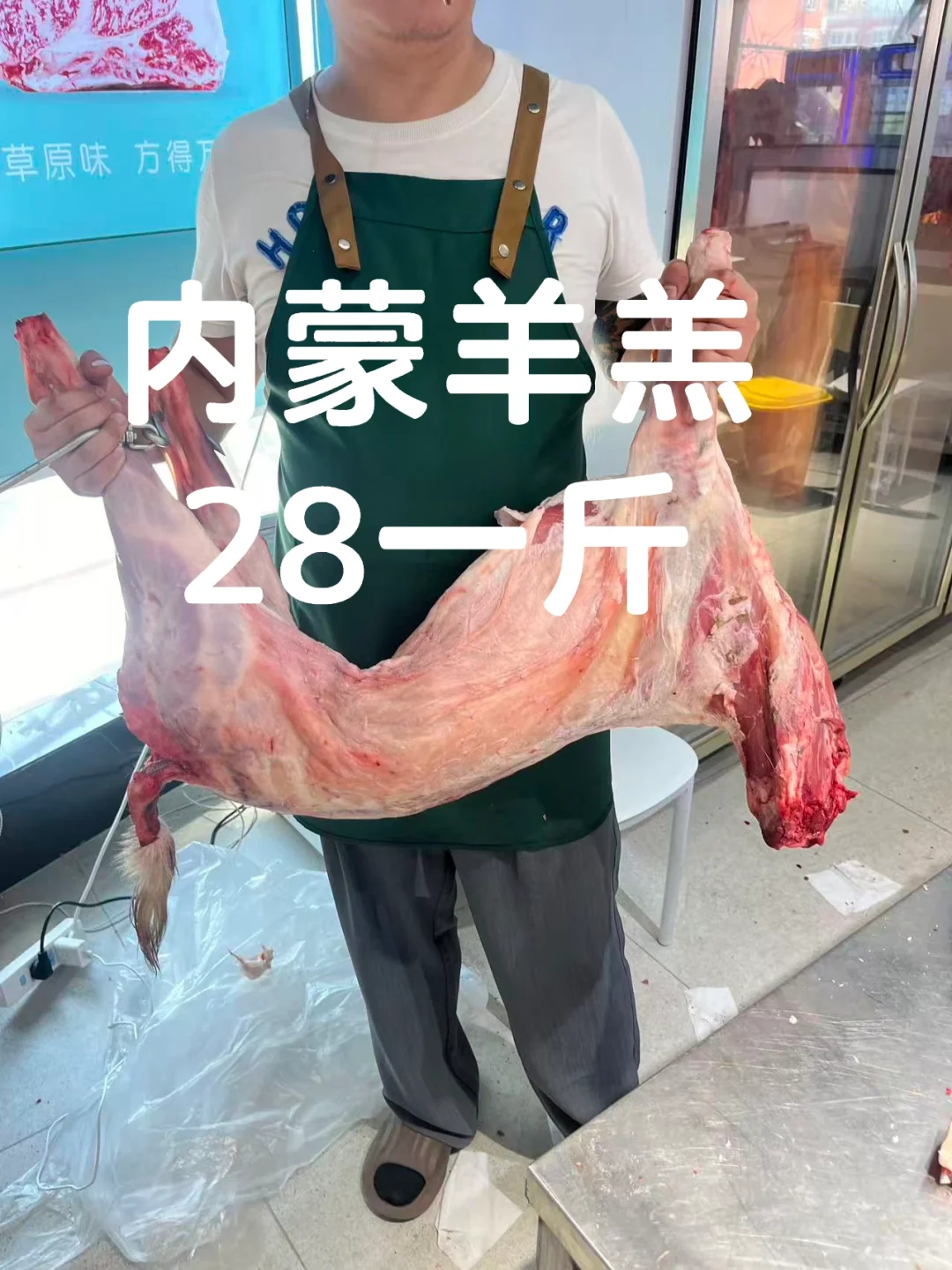 28һ 㣡ɱ