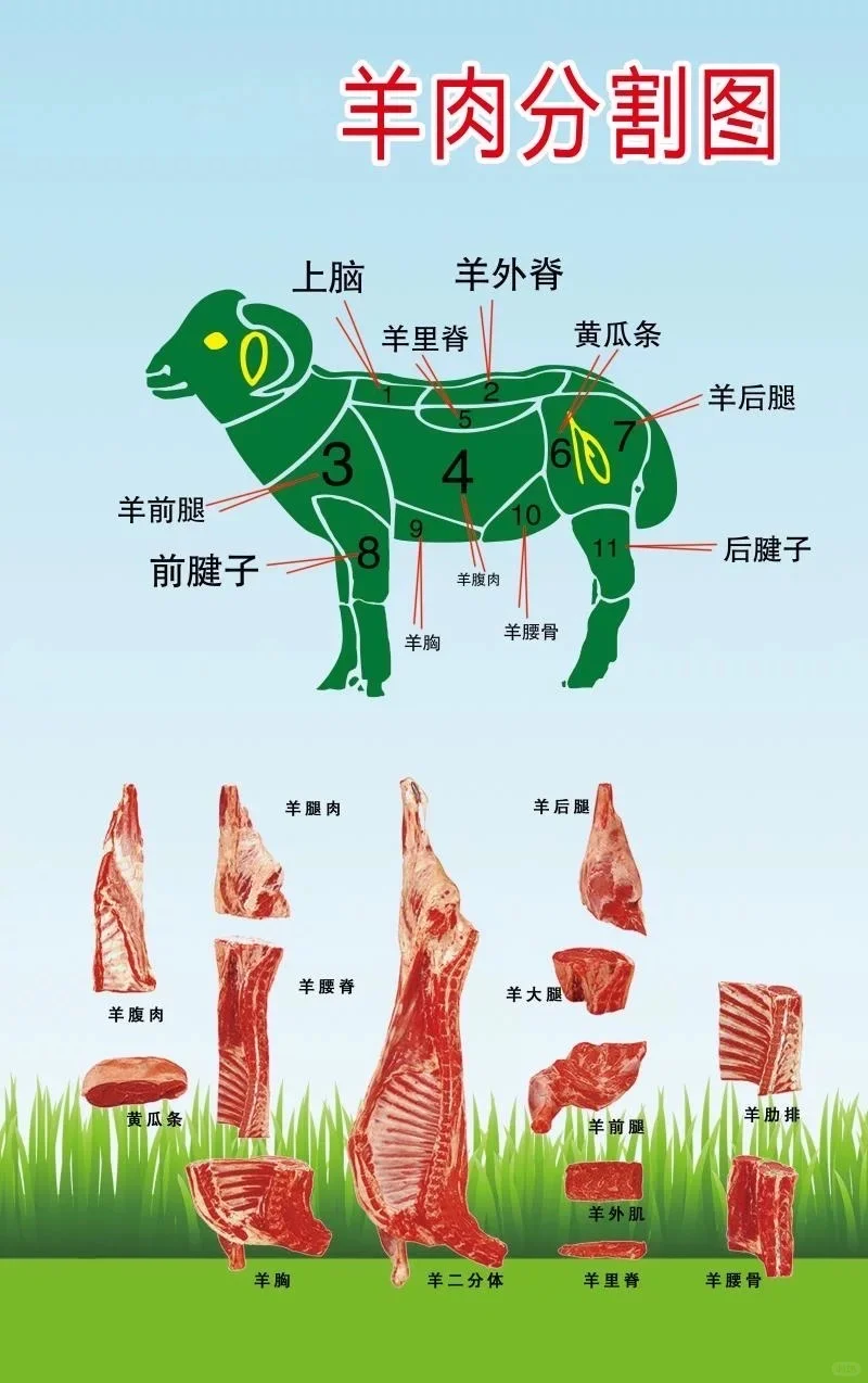 ?ͼԻ˽صλָ?
