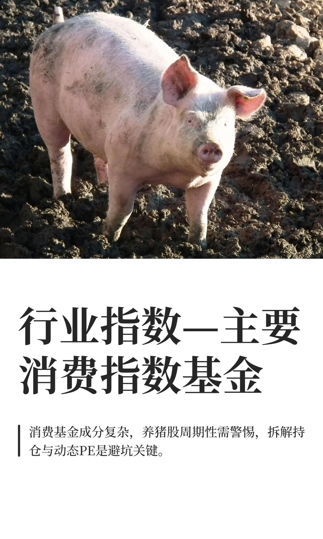ѻֻPEҲϣ