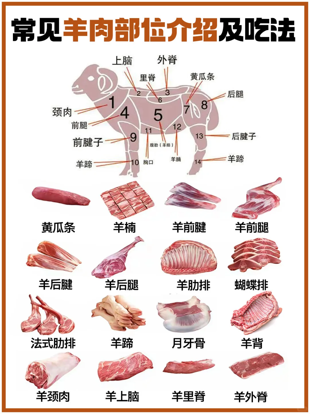 常见羊肉部位介绍及吃法