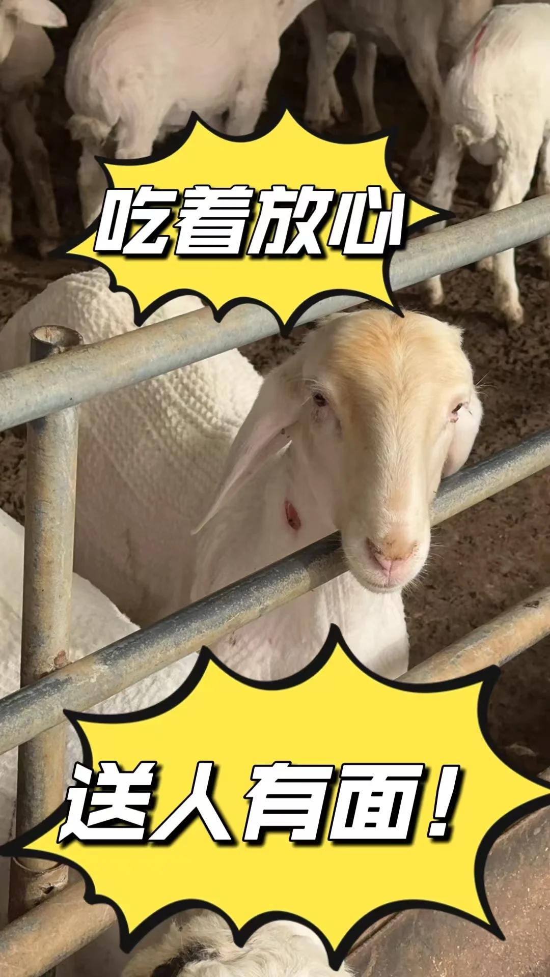 ڻƺӿ̲ | Լֳŷ