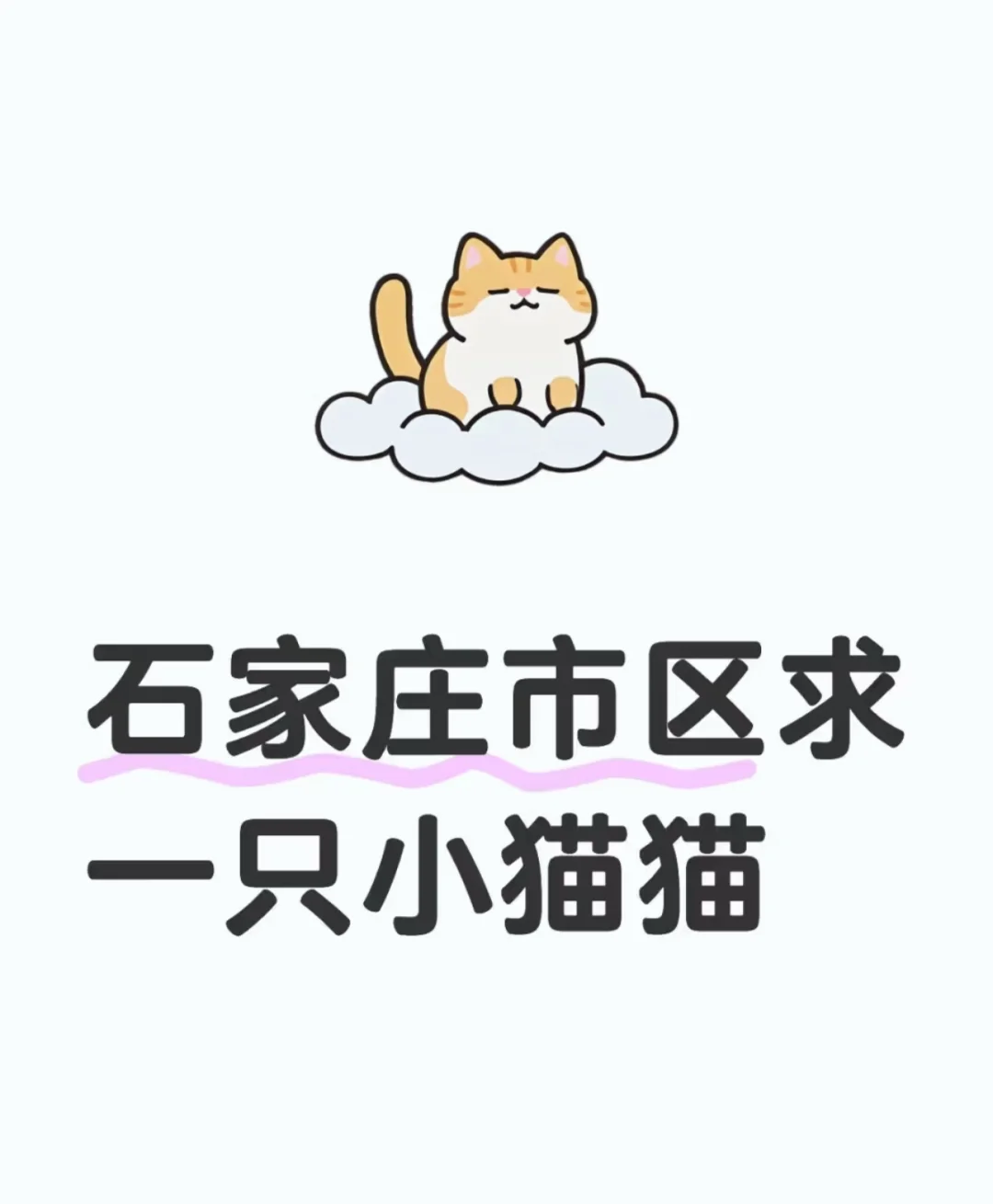 ʯׯһֻСèã