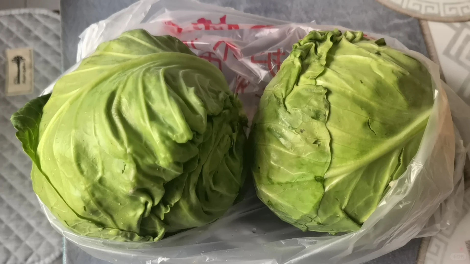 河北的羊待遇太好了