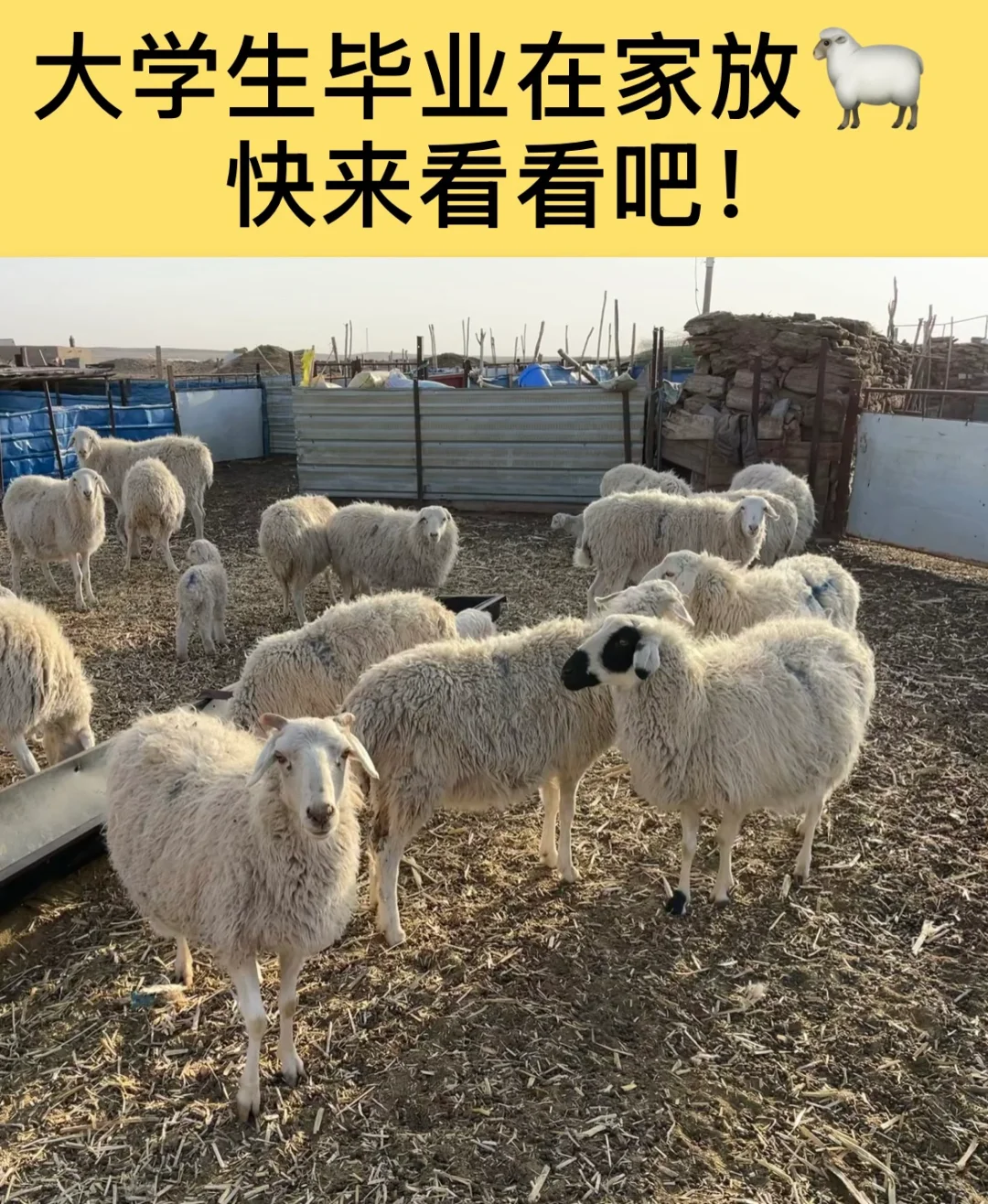 ?ѧ紴ҵ
