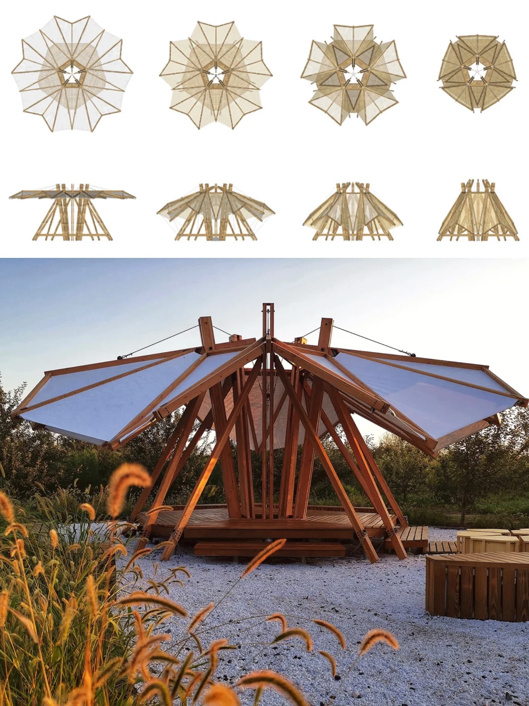 案例分享|绽放(主页有装置教程!)