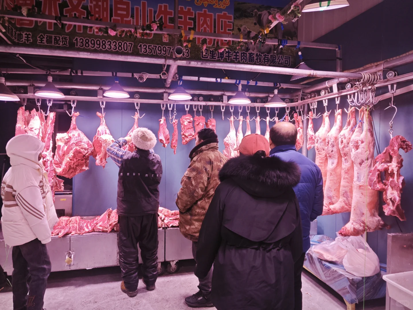 新疆羊肉就是我的最爱,买羊心得大家避坑