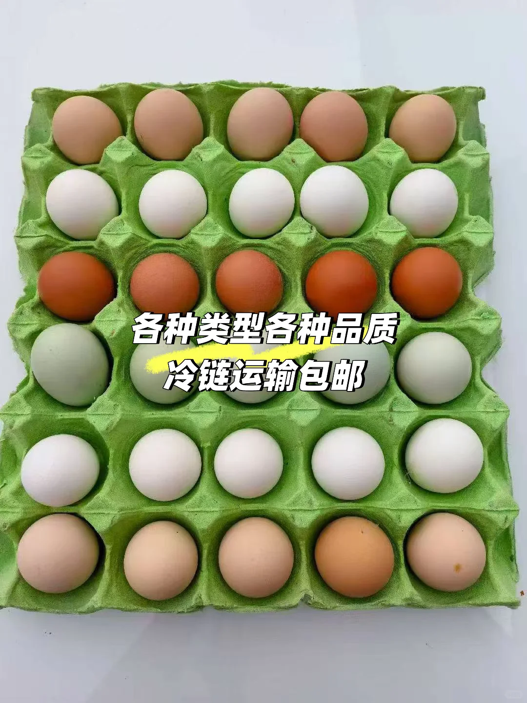 ԼĻֳļ?