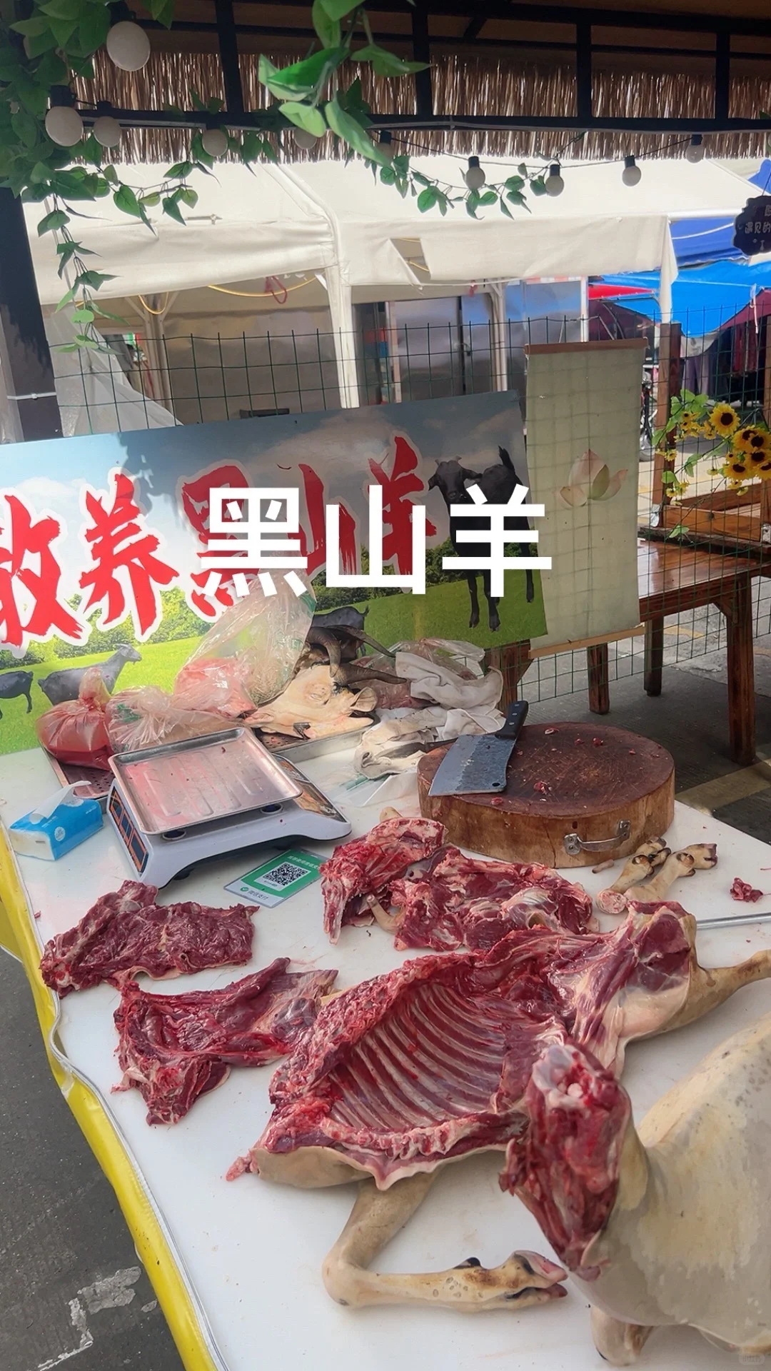 �������ɽ�����Ǯ