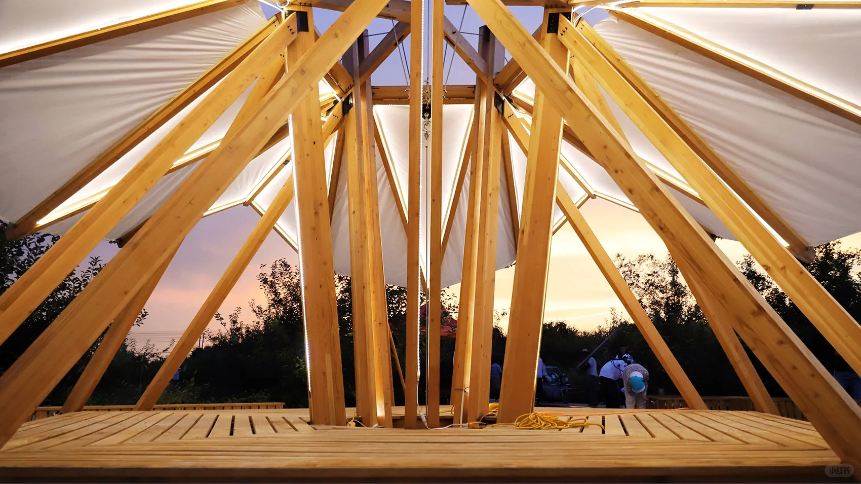 案例分享|绽放(主页有装置教程!)