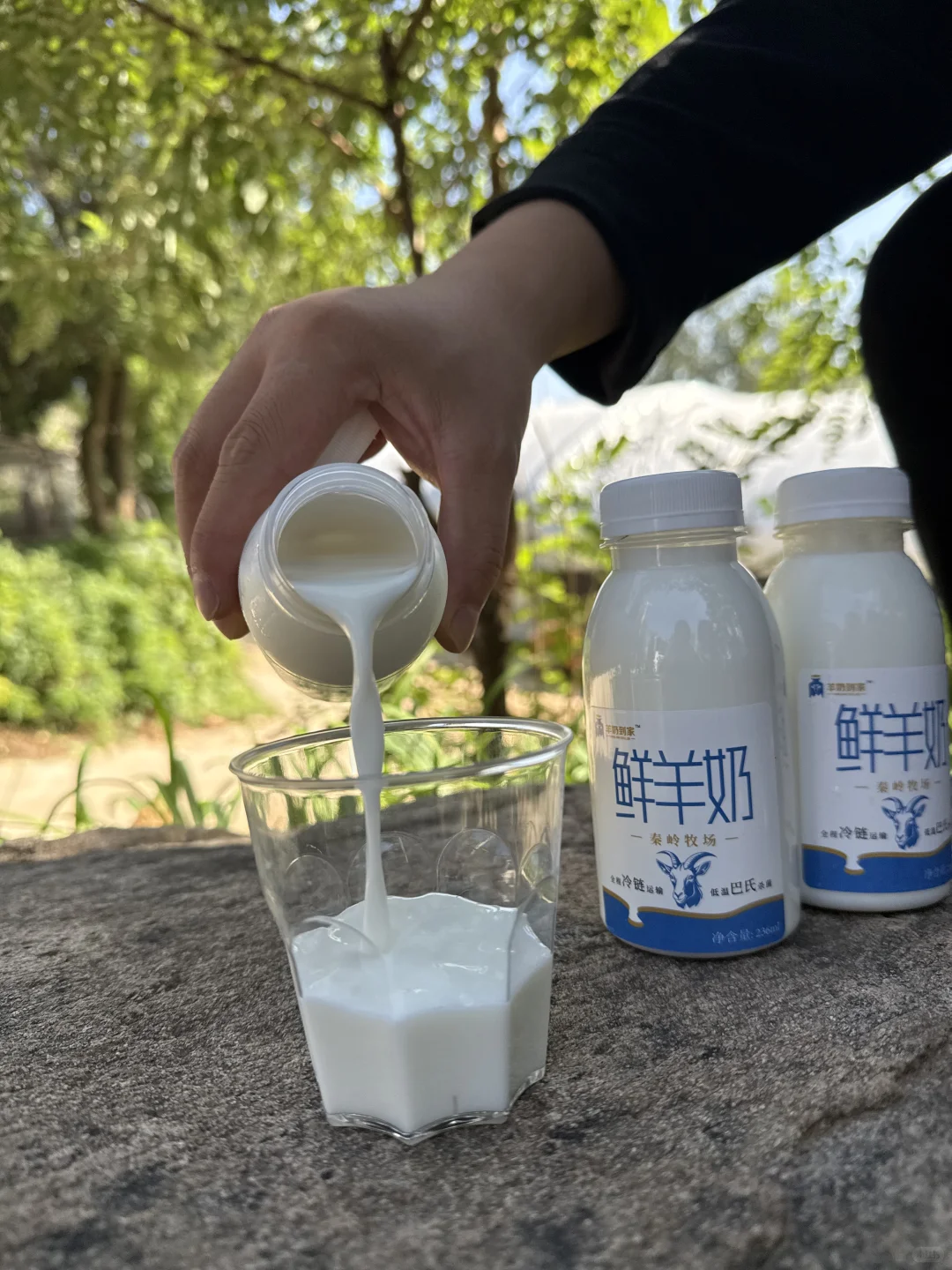 治