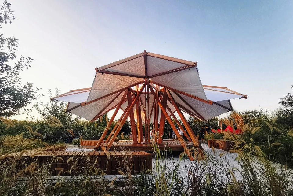 案例分享|绽放(主页有装置教程!)